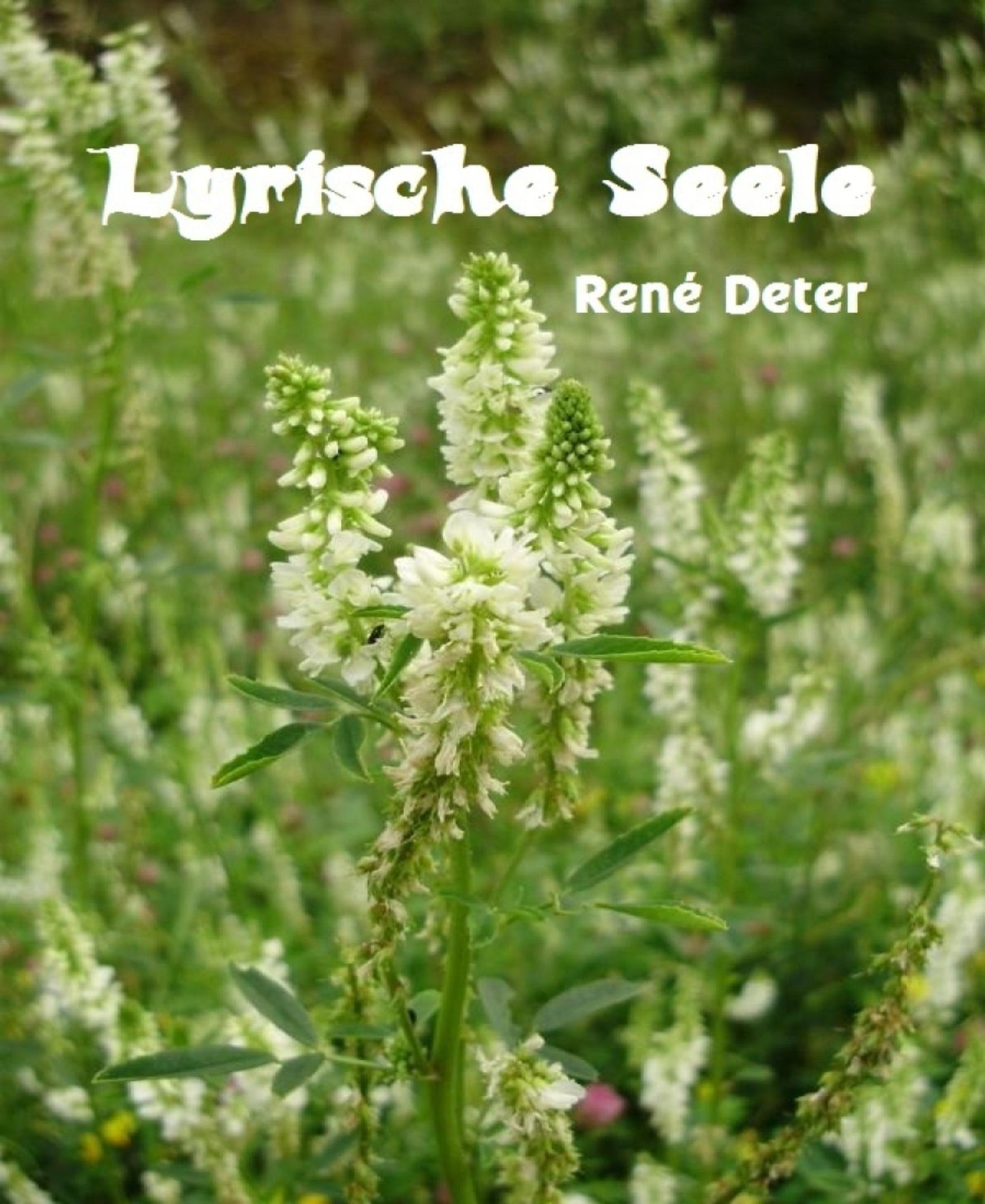 Lyrische Seele