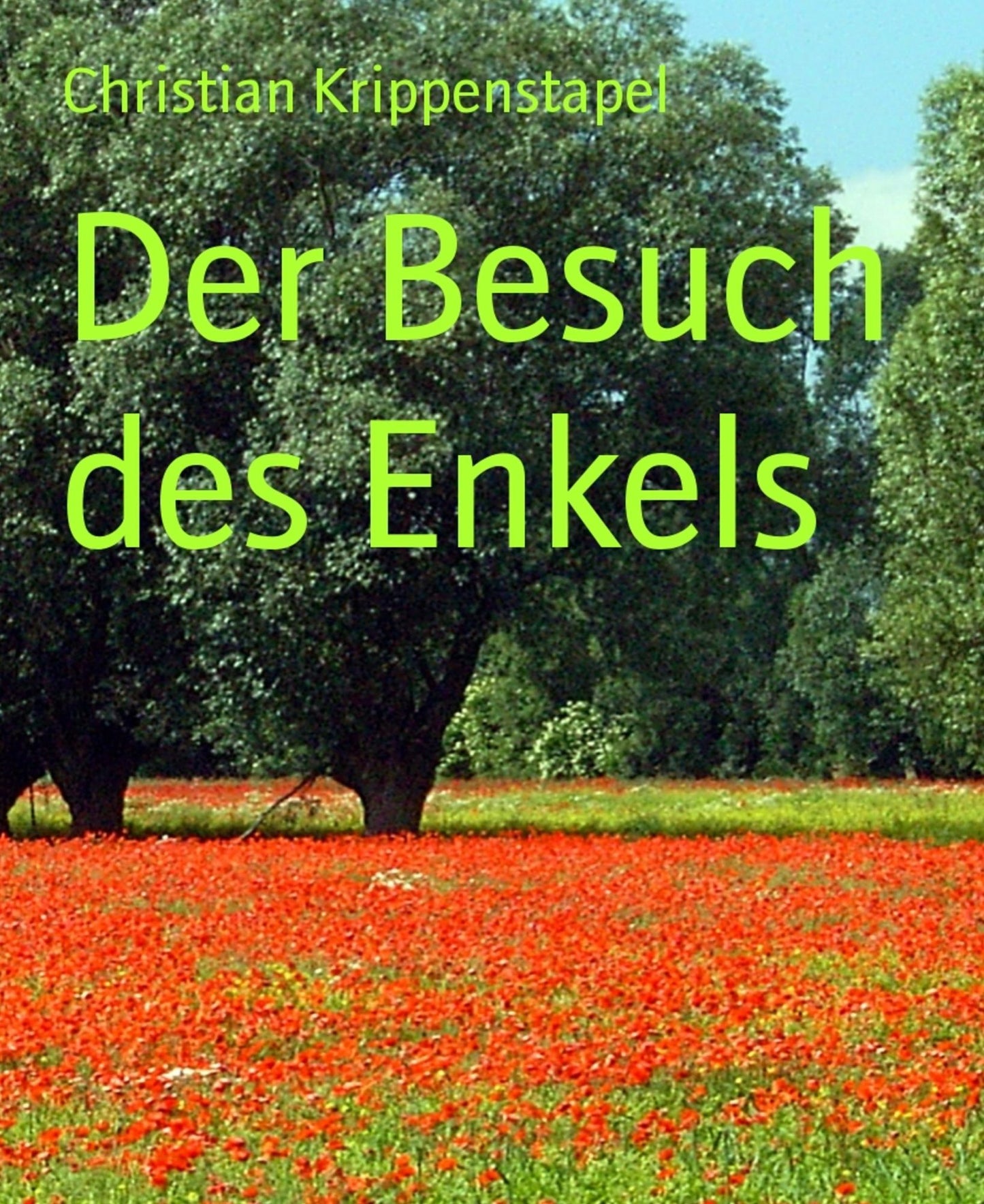 Der Besuch des Enkels