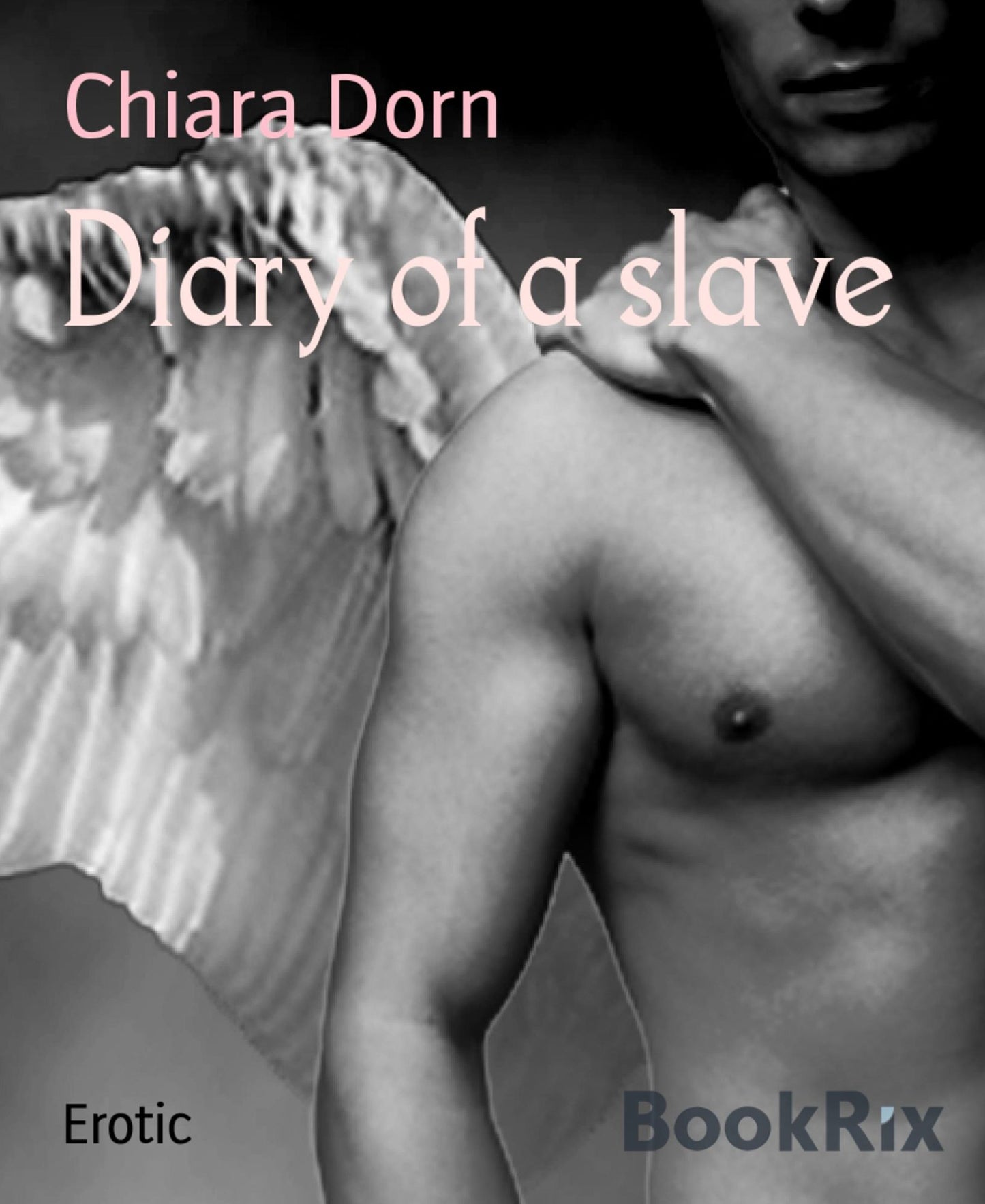 Diary of a slave