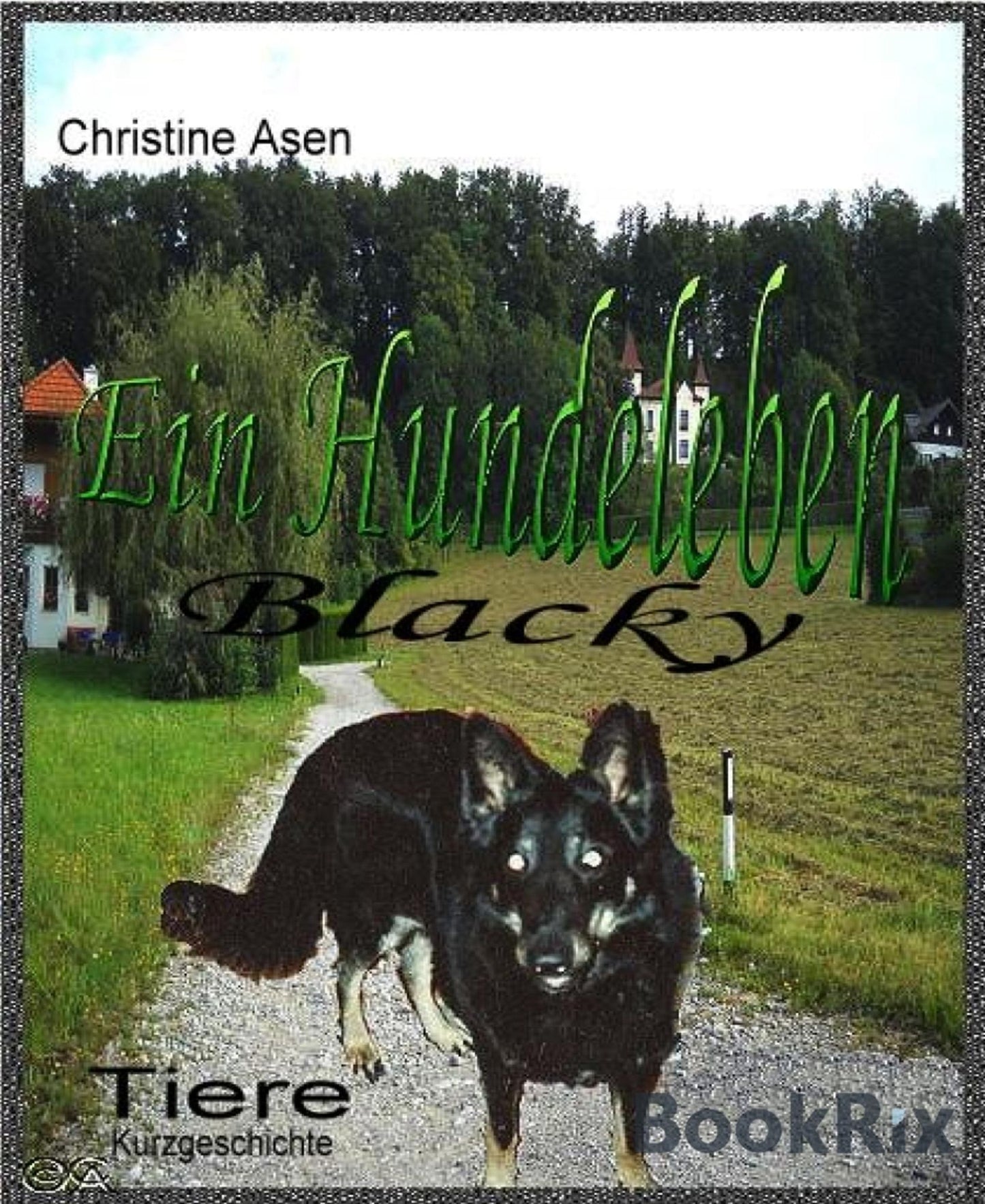 Blacky - Ein Hundeleben: Aus der Sicht eines Hundes
