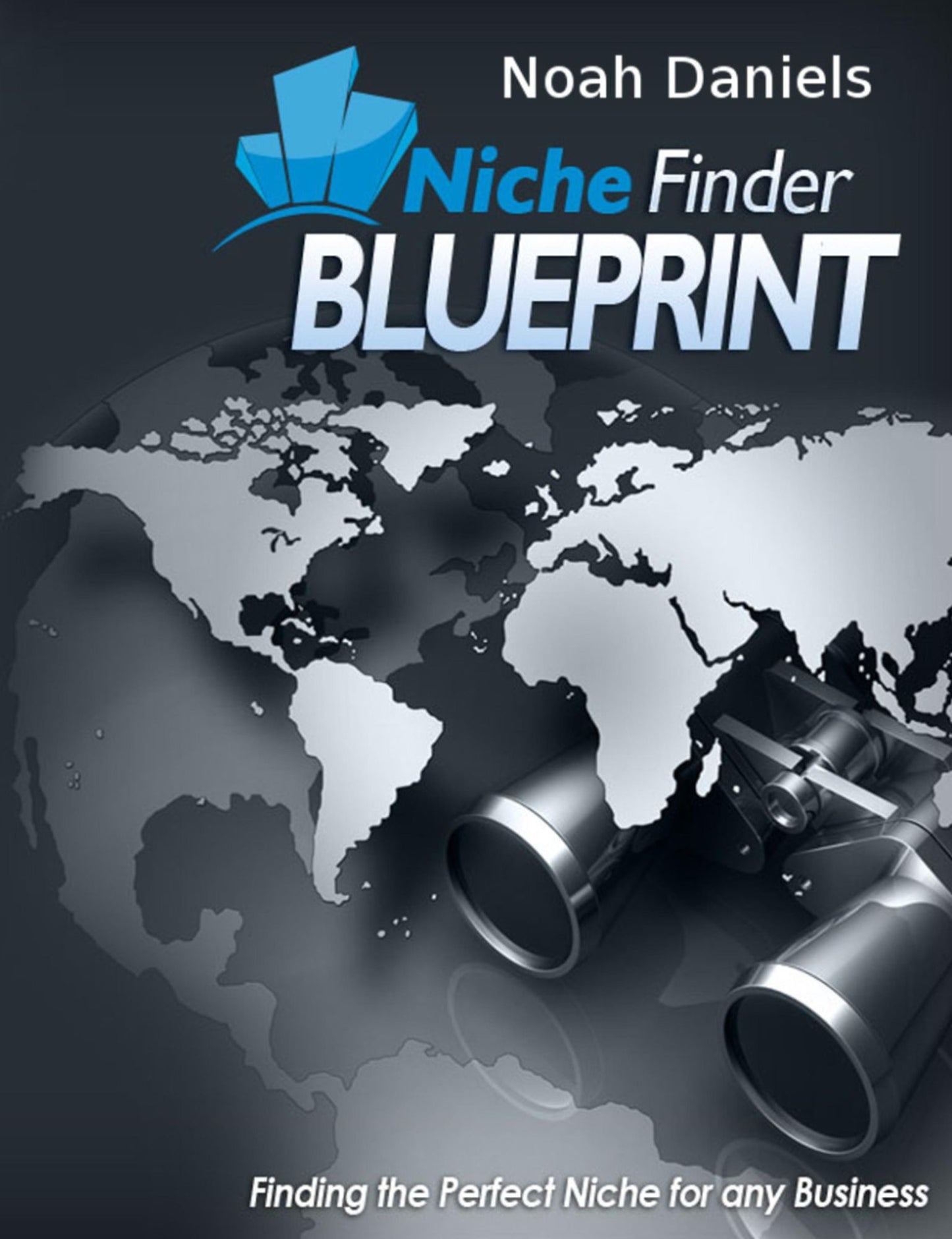 Niche Finder Blueprint: Finding the Perfect Niche for any Business