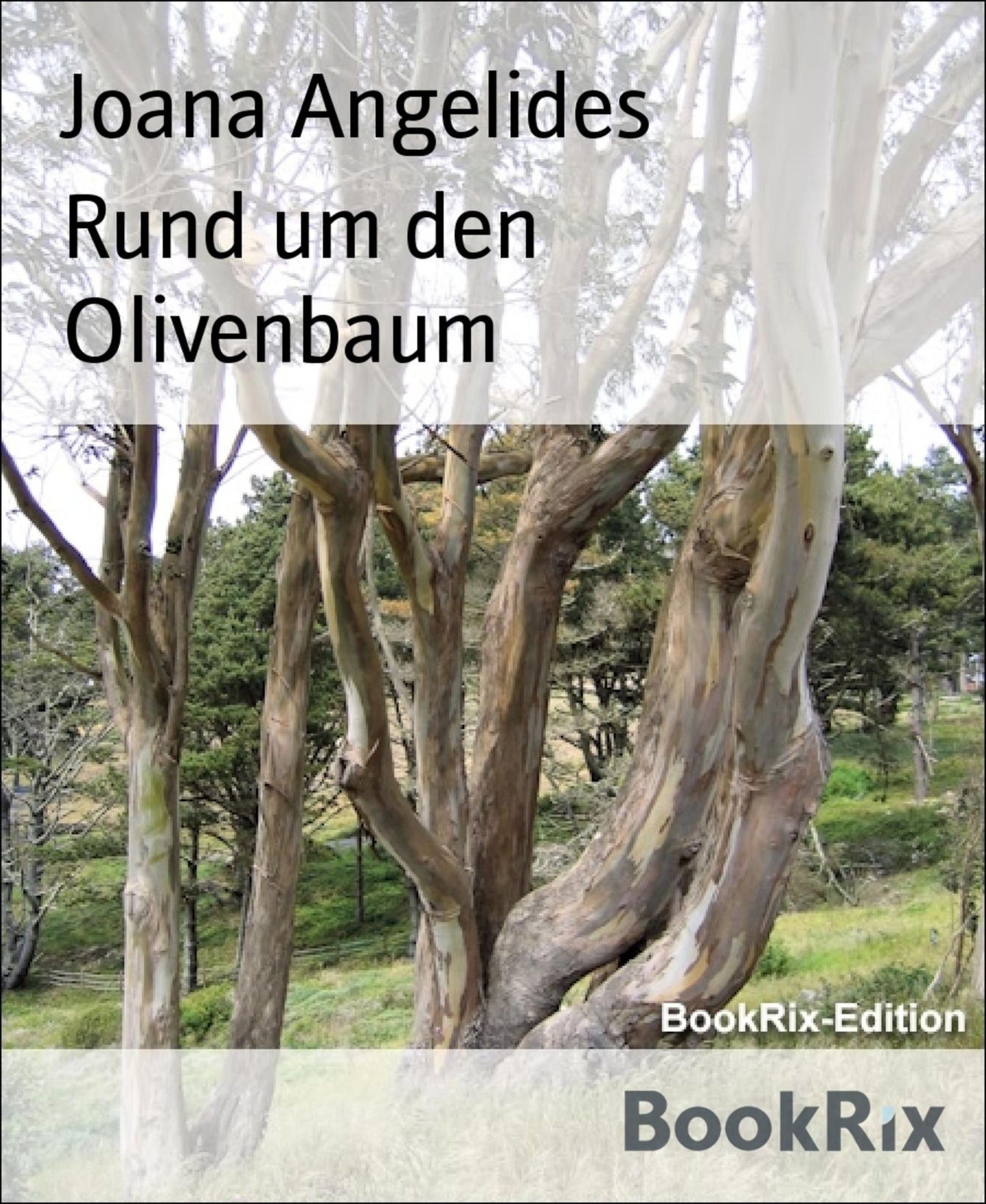 Rund um den Olivenbaum: Leseprobe aus "Gefühle rund um den Olivenbaum