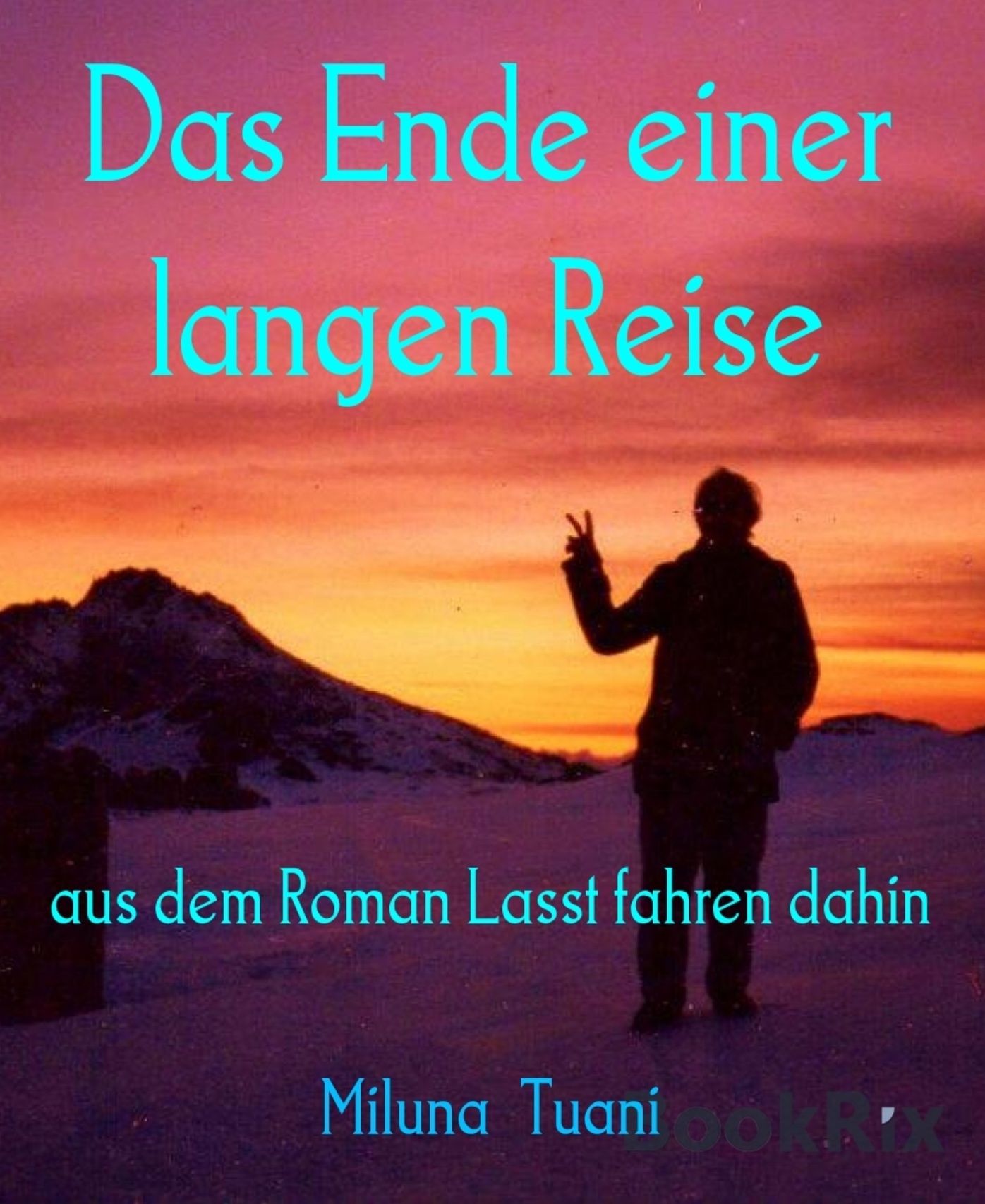 Das Ende einer langen Reise: aus dem Roman Lasst fahren dahin