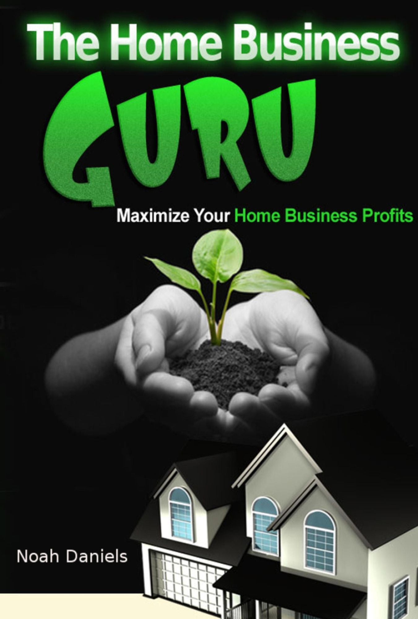 The Home Business Guru: Maximize Your Home Business Profits