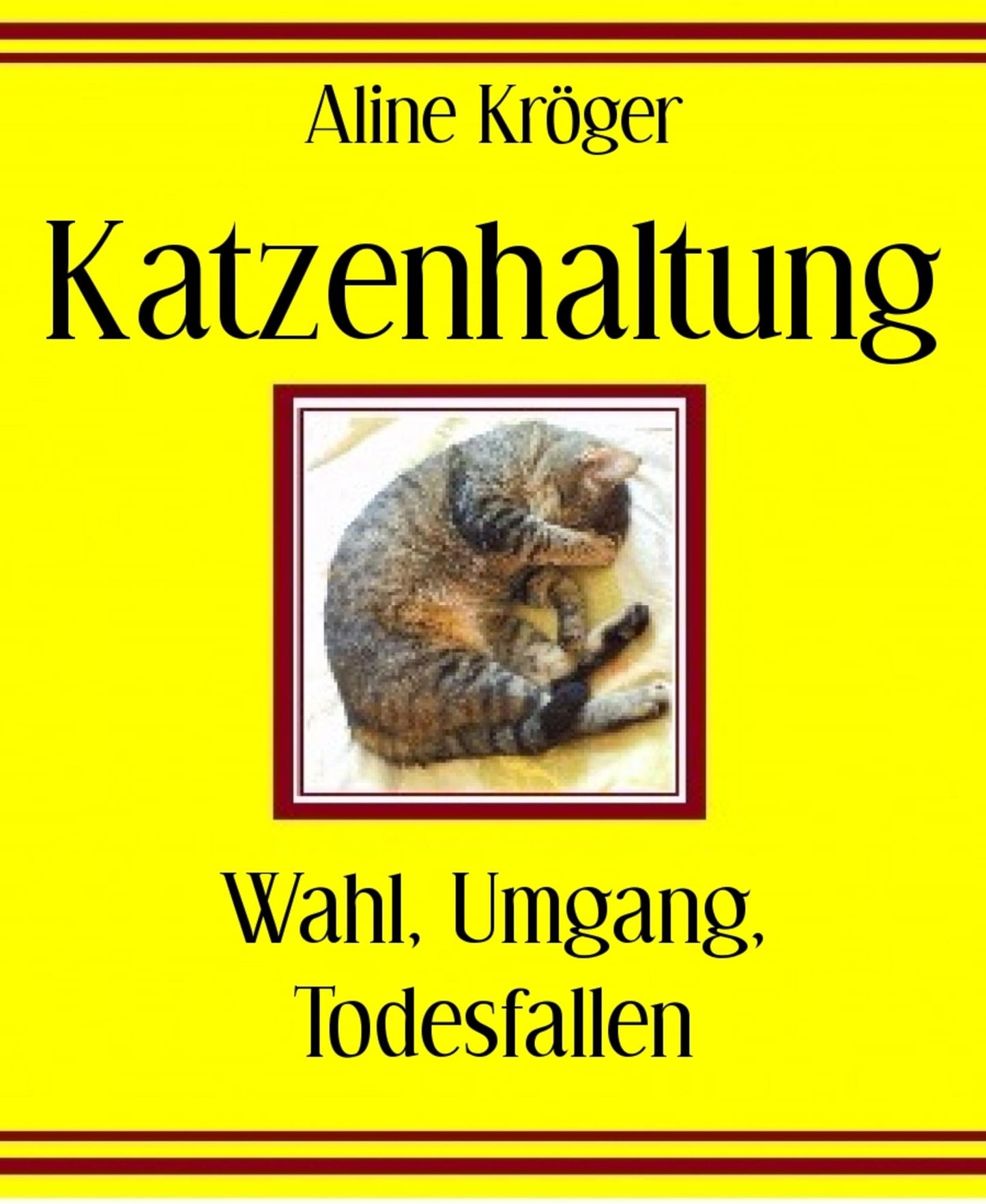 Katzenhaltung: Wahl, Umgang, Todesfallen