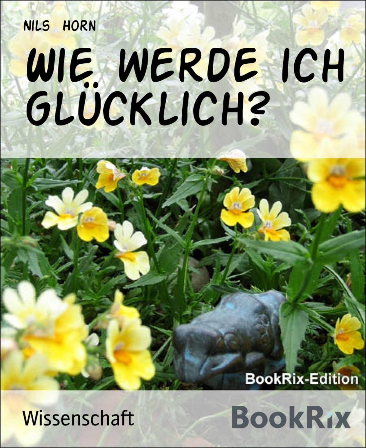 Wie werde ich glücklich?: Beziehung, Familie, Single, Alter, Beruf