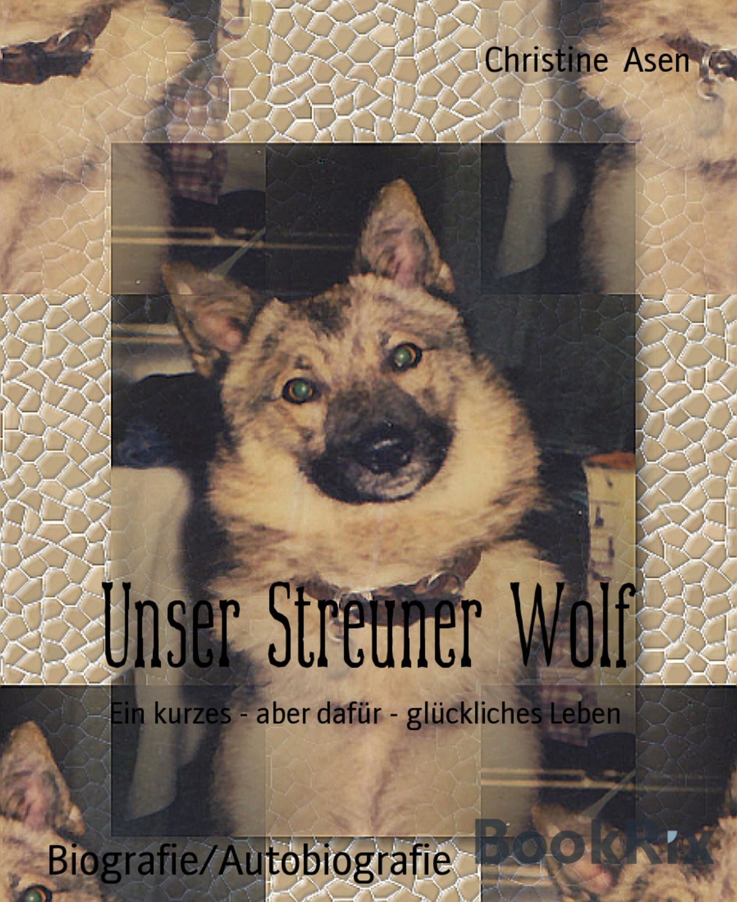 Unser Streuner Wolf: Ein kurzes - aber dafür - glückliches Leben