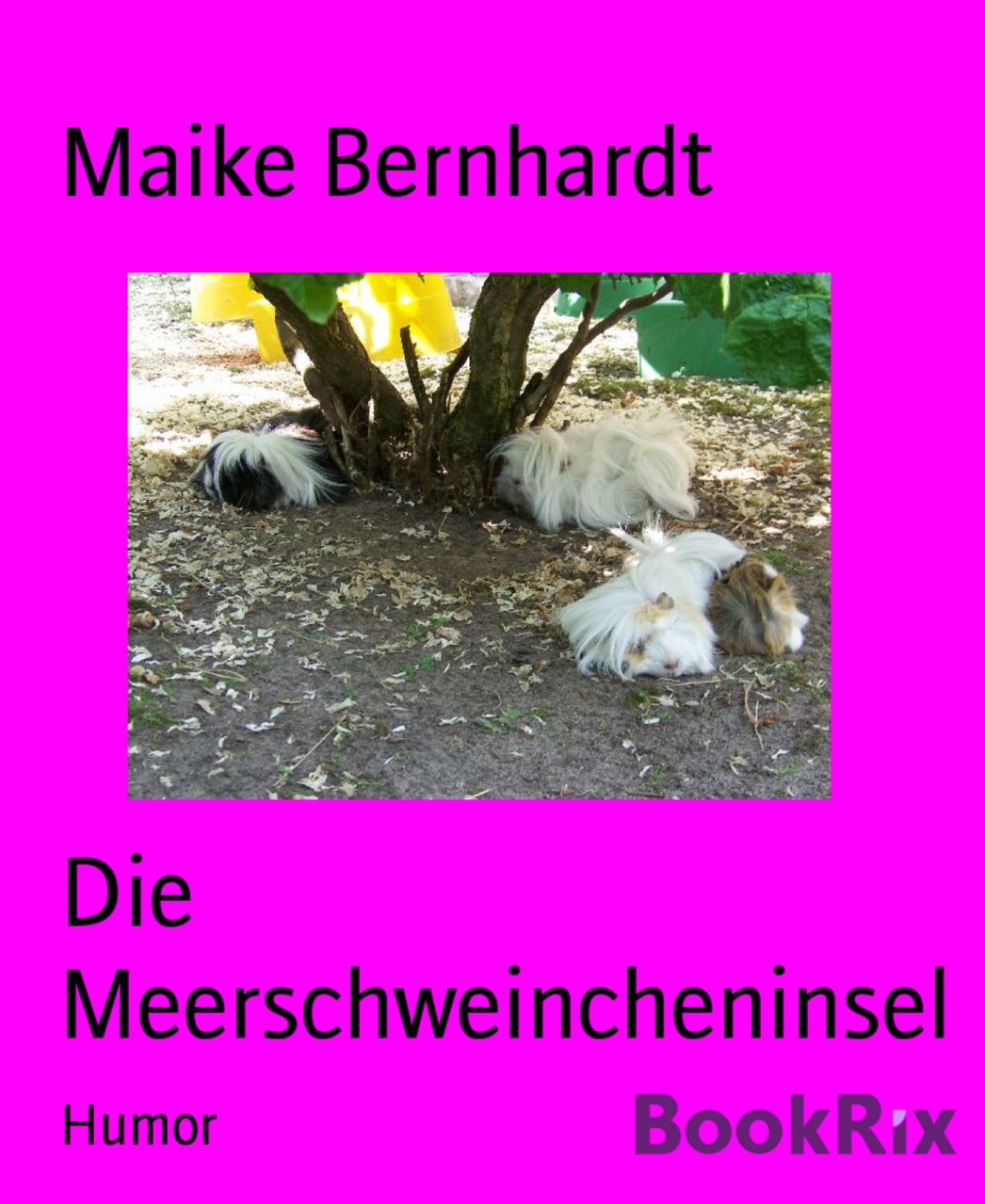 Die Meerschweincheninsel