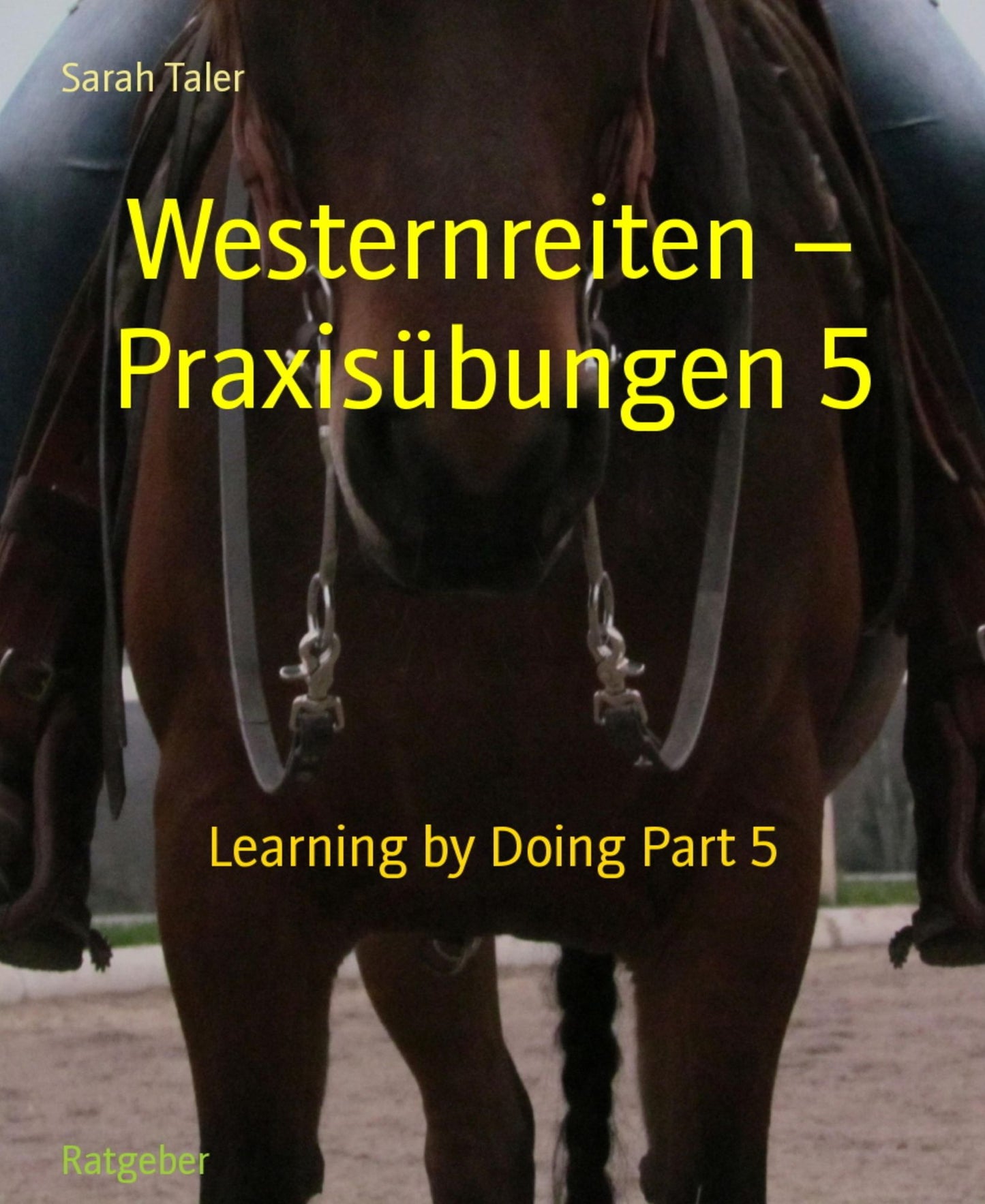 Westernreiten - Praxisübungen 5: Learning by Doing Part 5