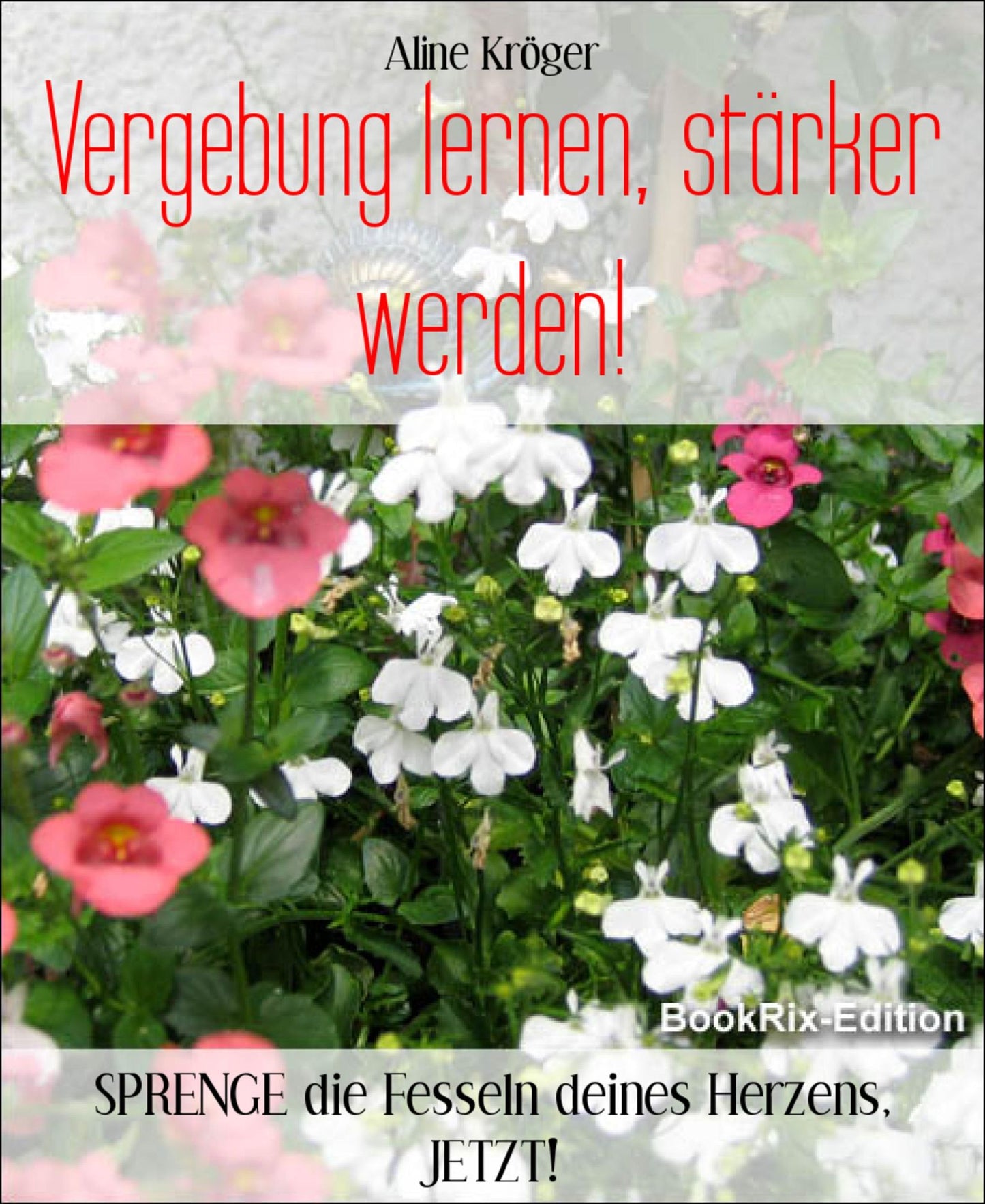 Vergebung lernen, stärker werden!: SPRENGE die Fesseln deines Herzens, JETZT!