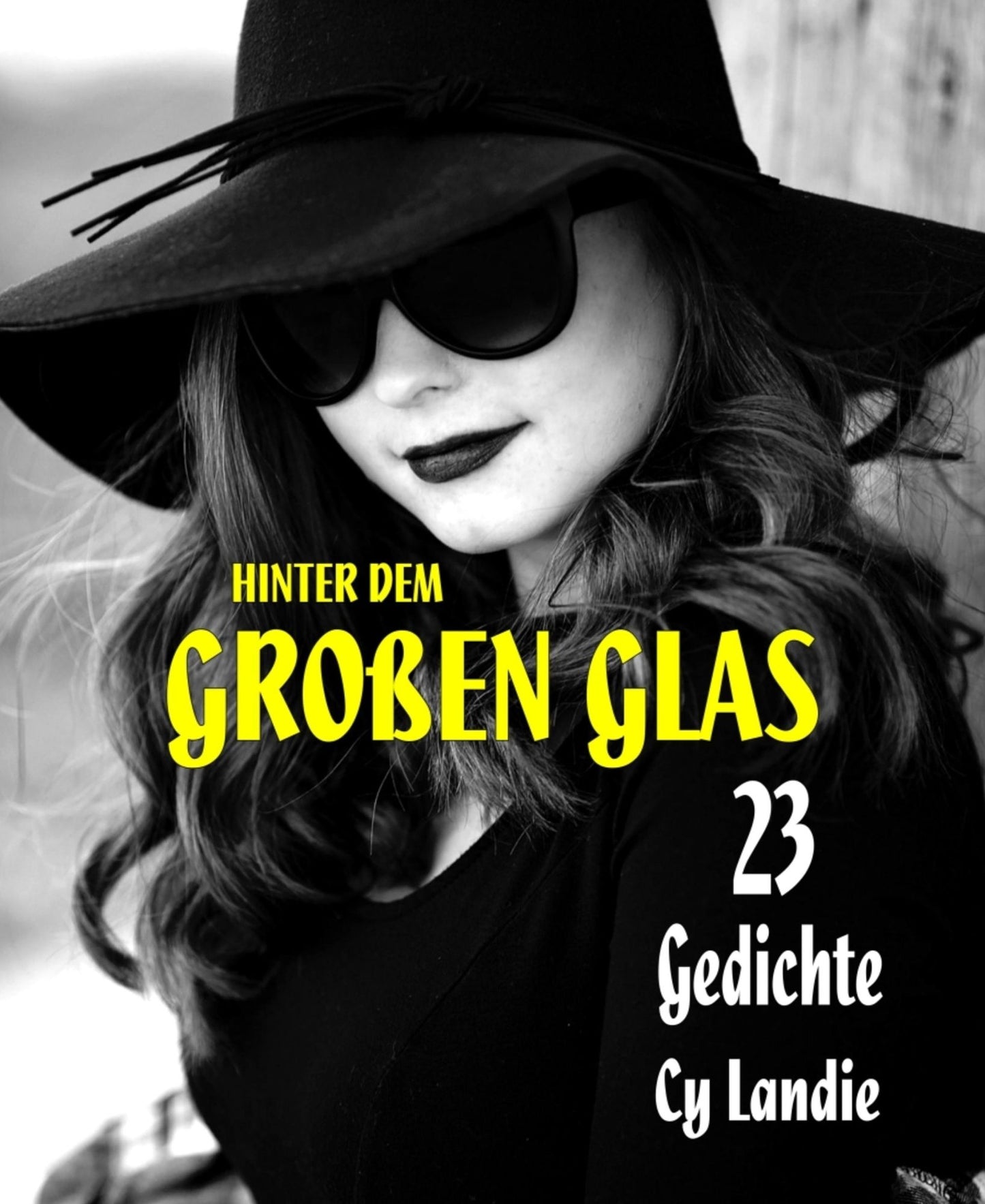 Hinter dem großen Glas: 23 Gedichte