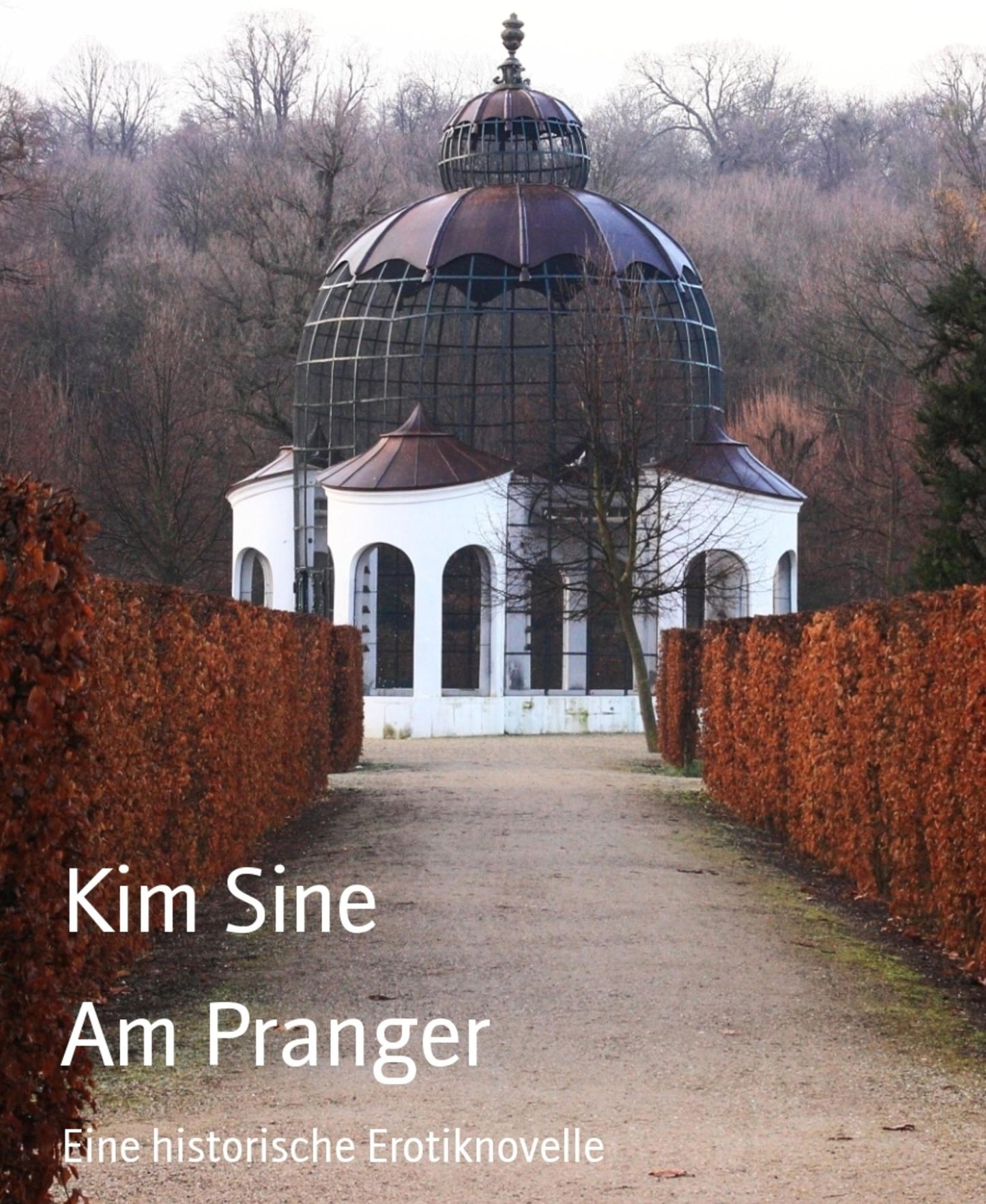 Am Pranger: Eine historische Erotiknovelle