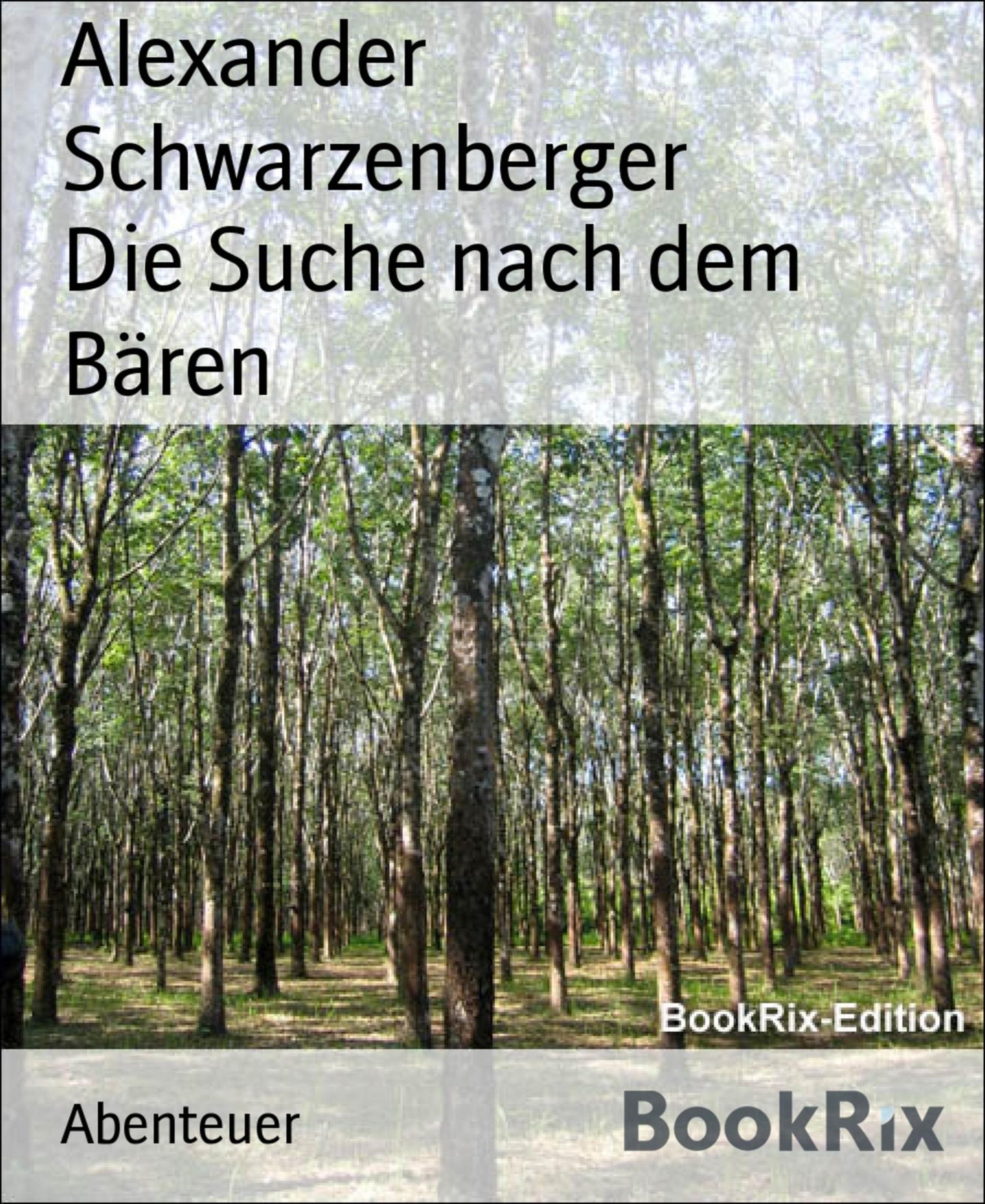 Die Suche nach dem Bären: Der Bär