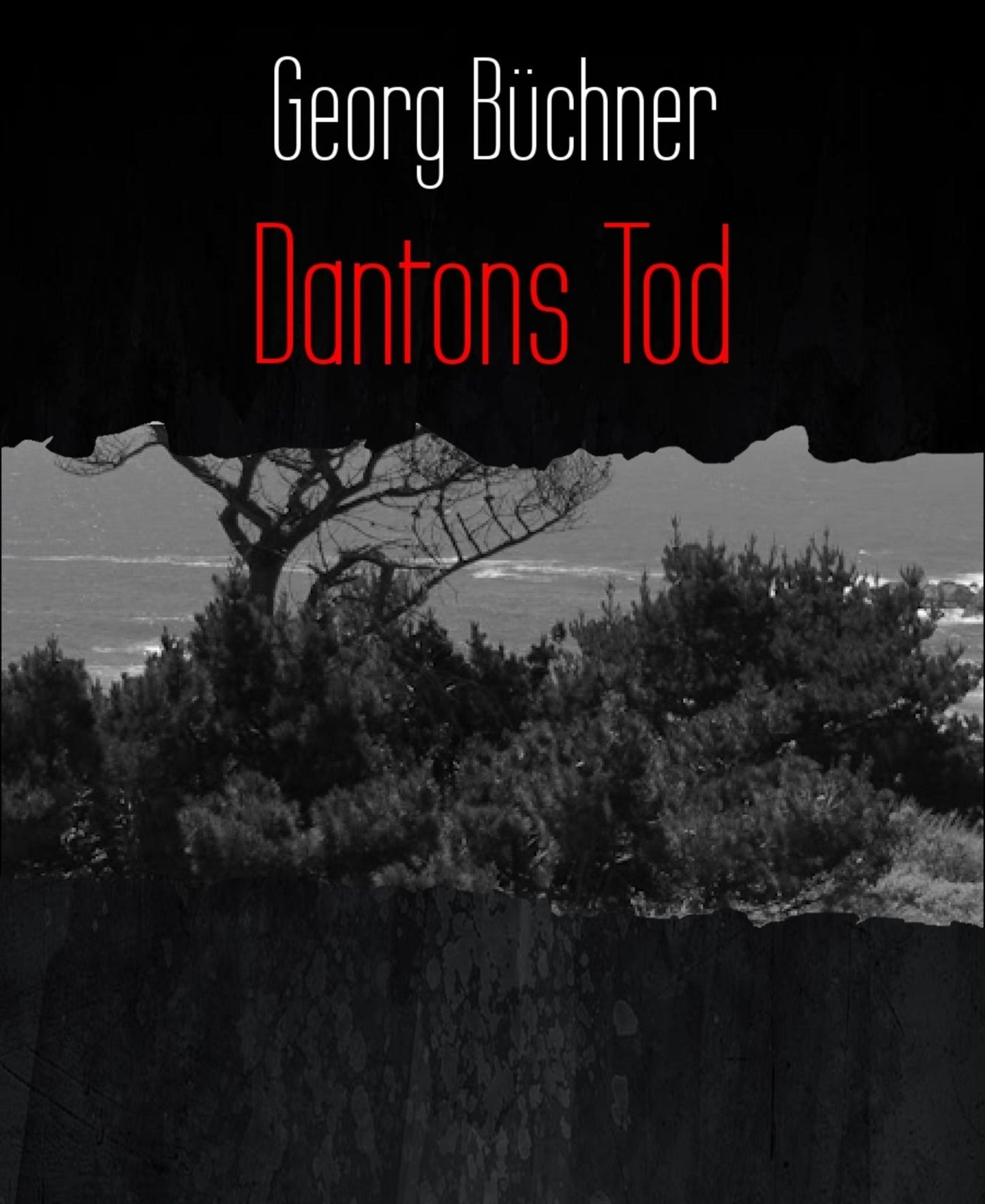 Dantons Tod: Ein Drama