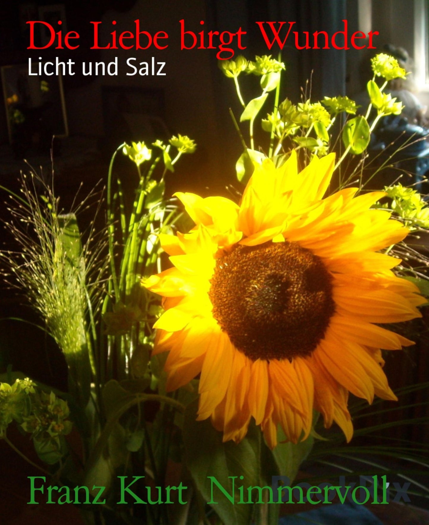 Die Liebe birgt Wunder: Licht und Salz