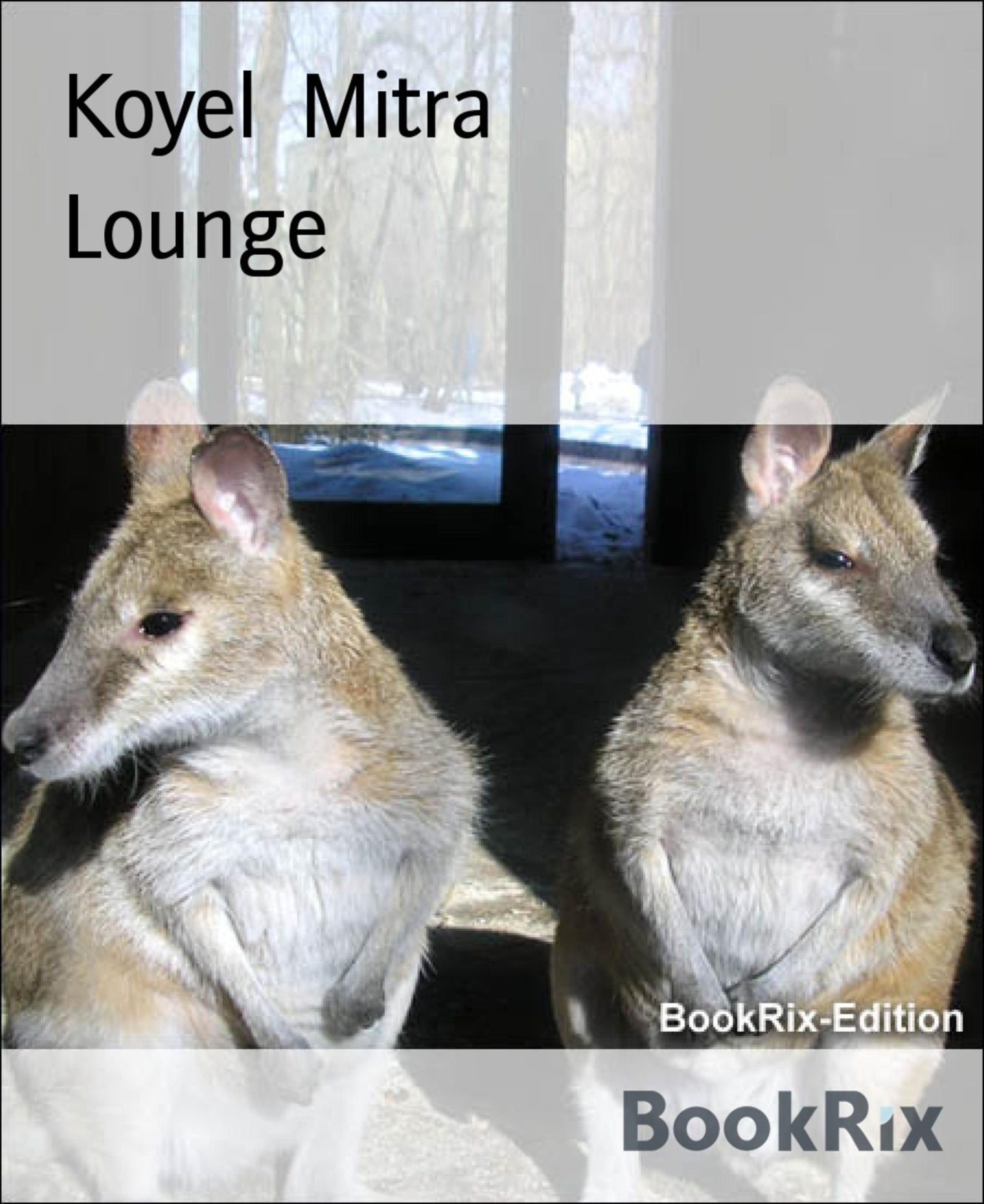 Lounge: A collection of myriad poems