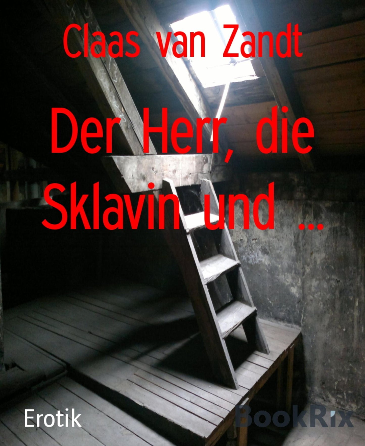 Der Herr, die Sklavin und ...: BDSM-Kurzgeschichten