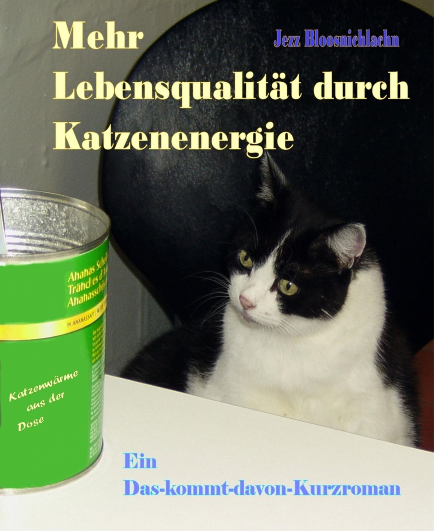 Mehr Lebensqualität durch Katzenenergie