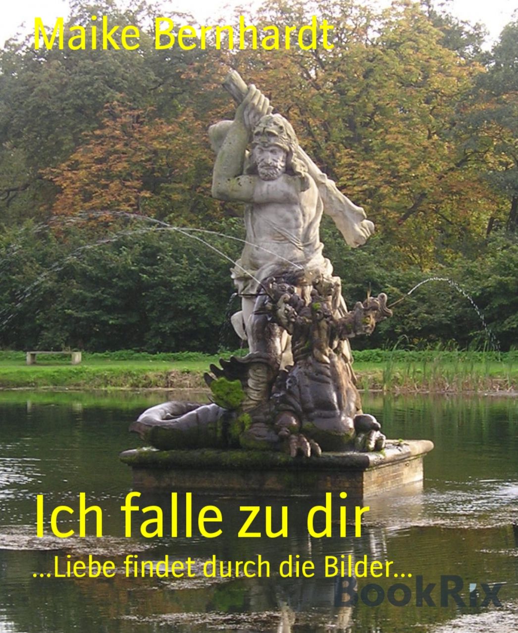 Ich falle zu dir: ...Liebe findet durch die Bilder...