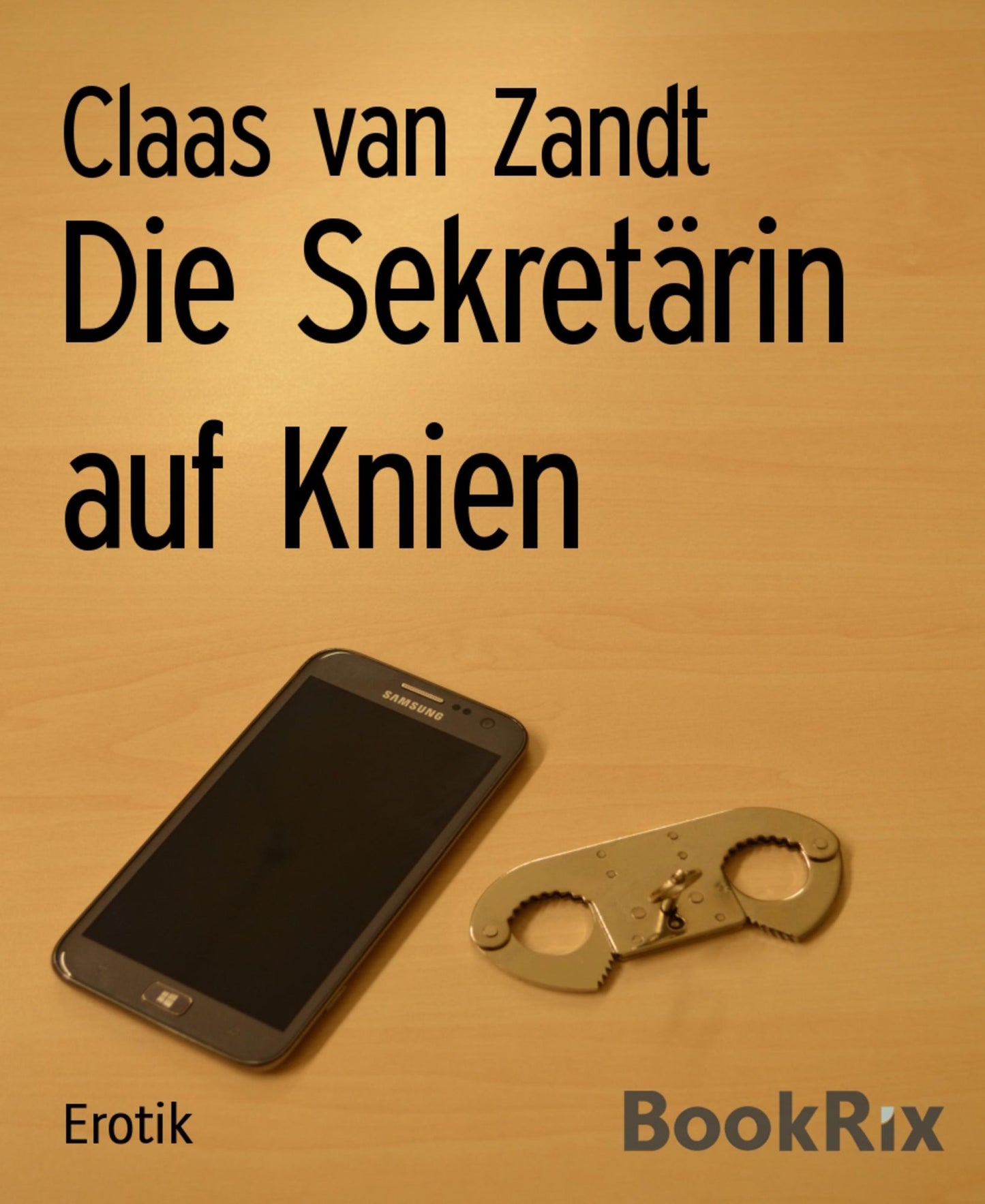 Die Sekretärin auf Knien: BDSM-Kurzgeschichten
