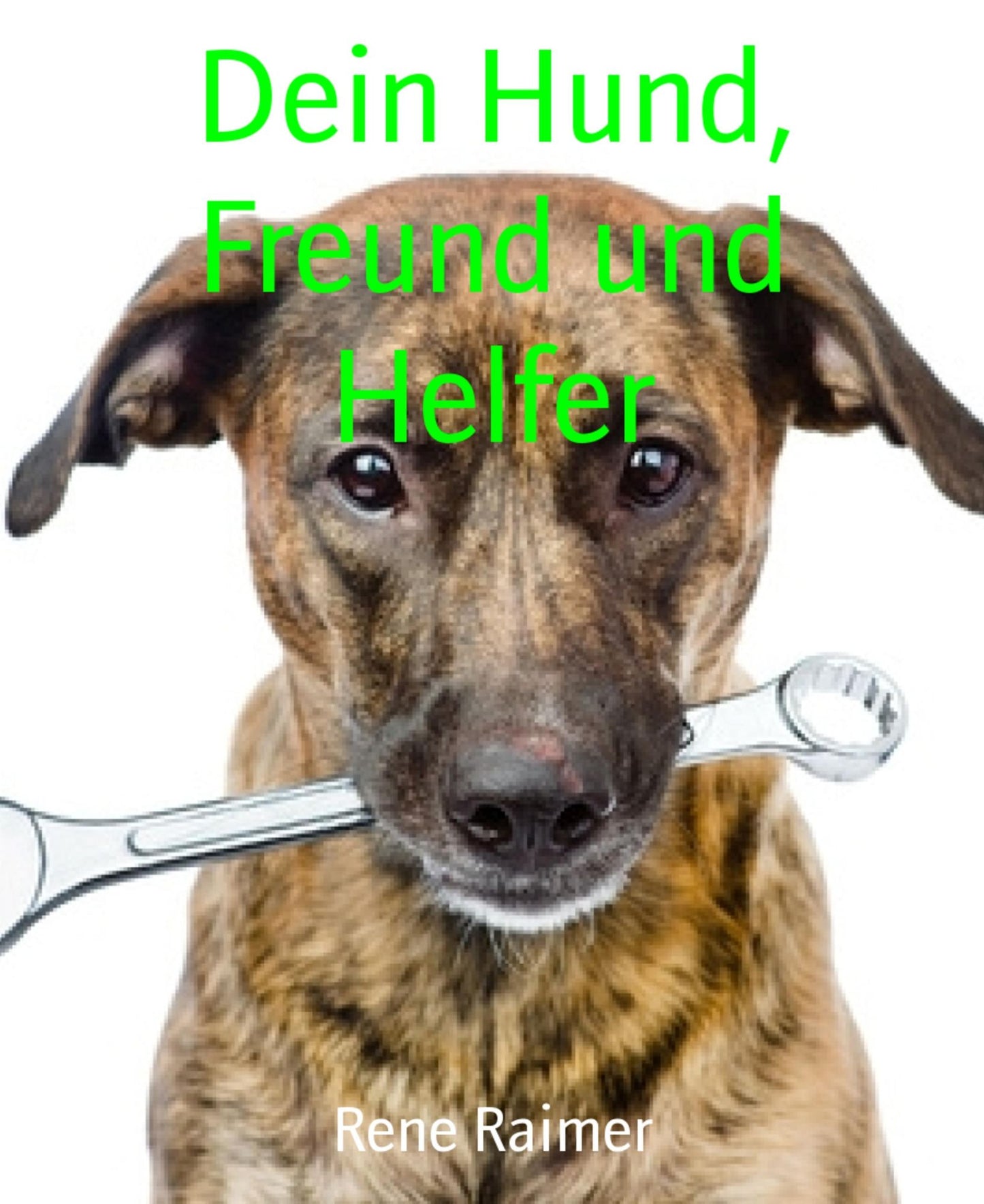 Dein Hund, Freund und Helfer