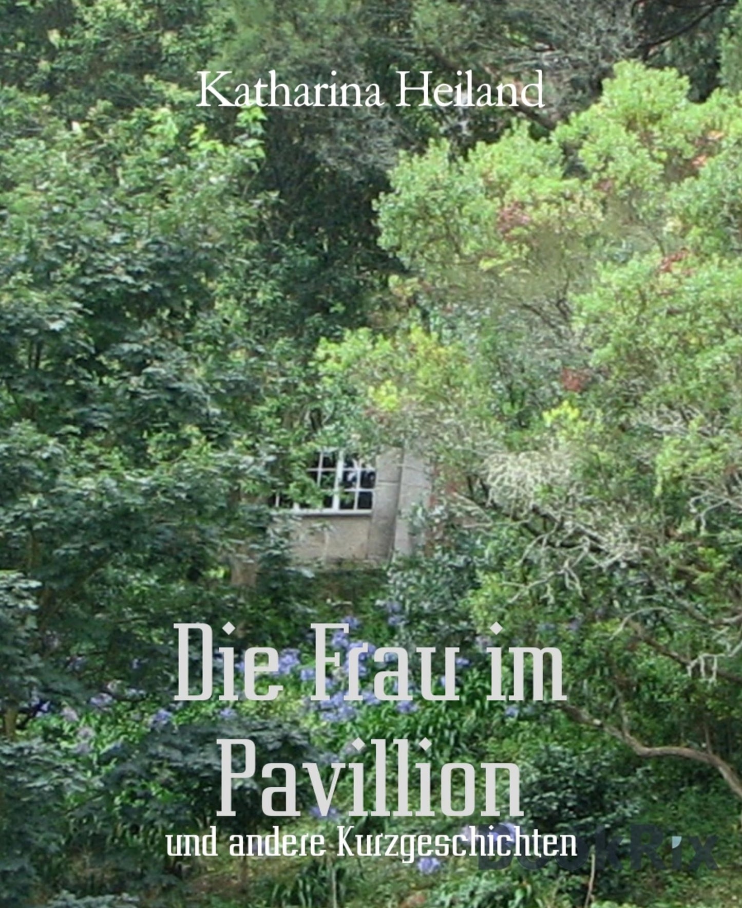 Die Frau im Pavillion: und andere Kurzgeschichten