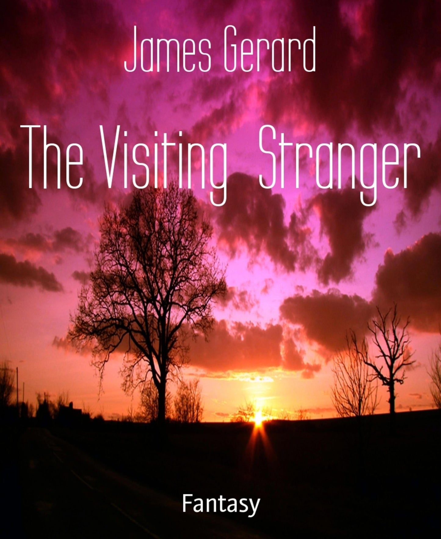 The Visiting Stranger