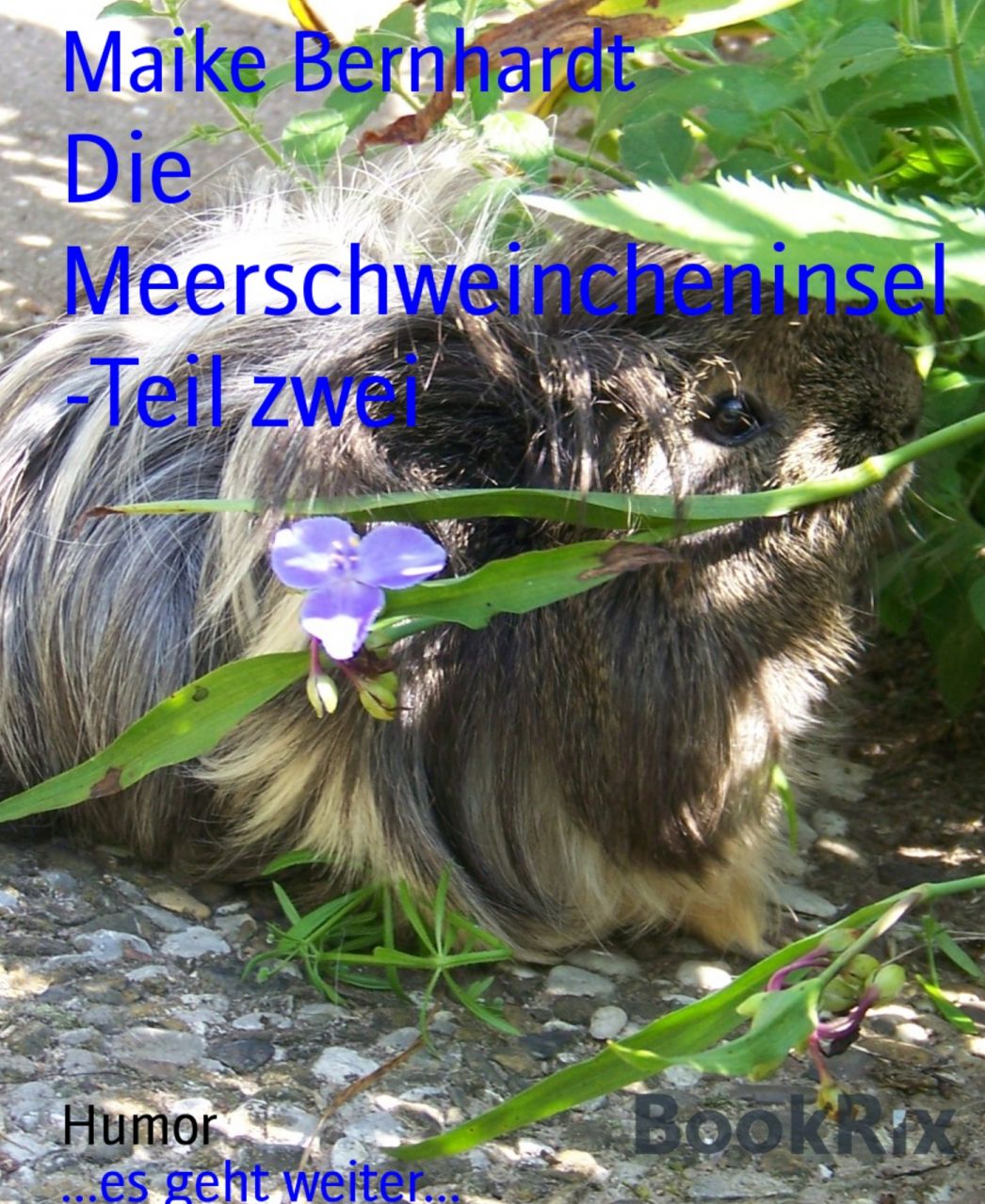 Die Meerschweincheninsel -Teil zwei: ...es geht weiter...