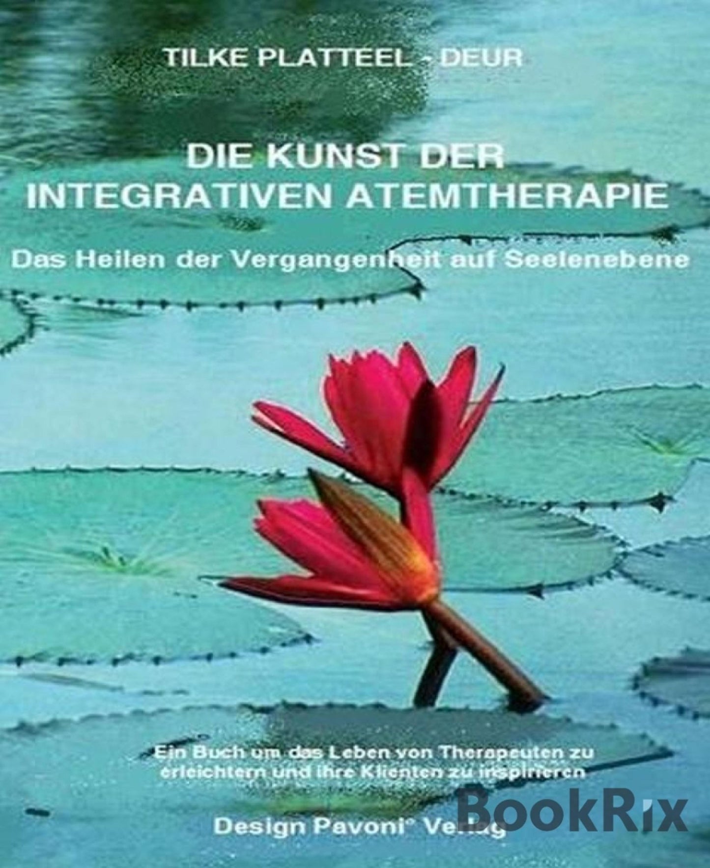 Die Kunst der integrativen Atemtherapie: Ein Buch um das Leben von Therapeuten zu erleichtern und ihre Klienten zu inspirieren