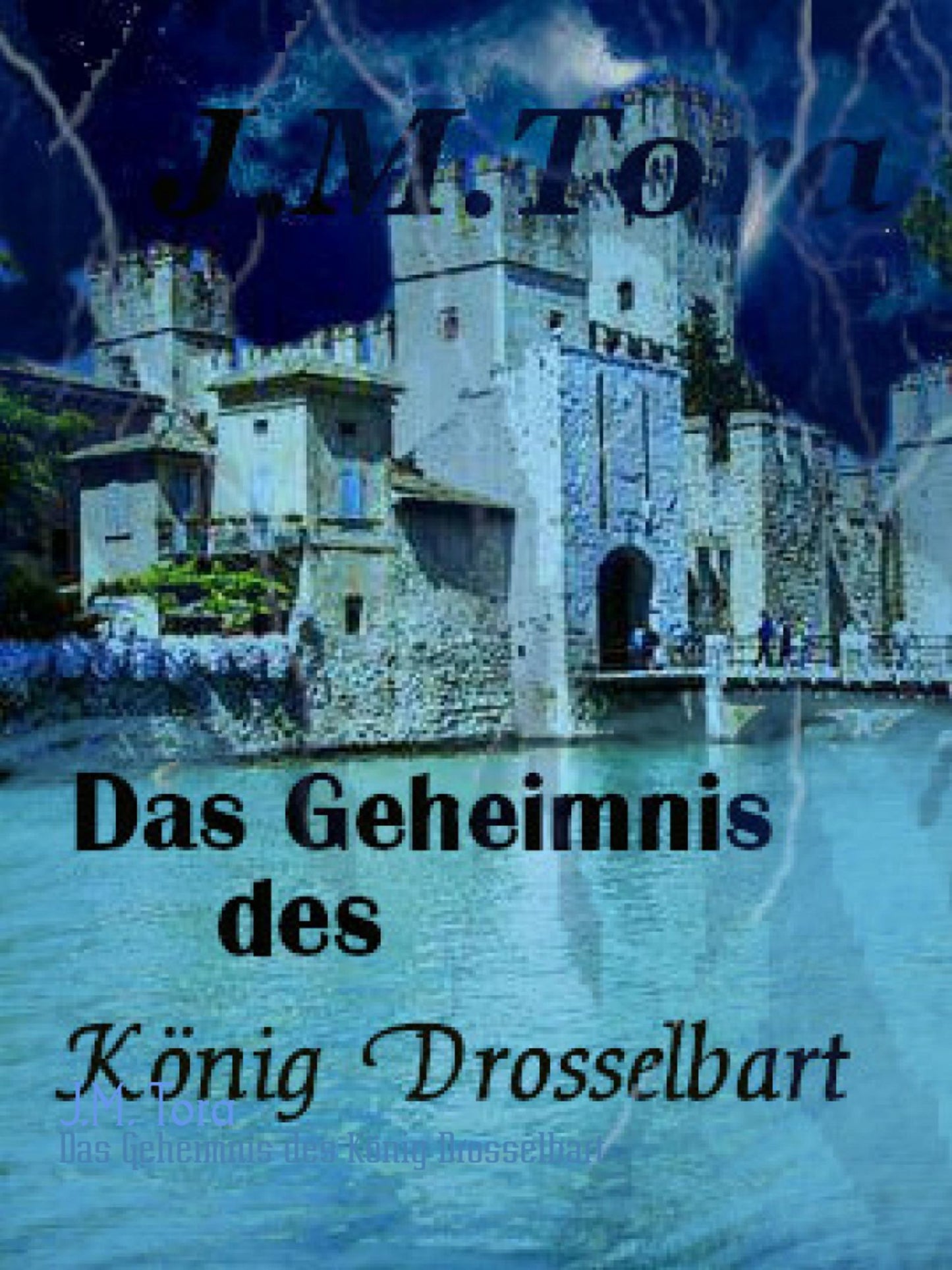 Das Geheimnis des König Drosselbart: Gay Romance