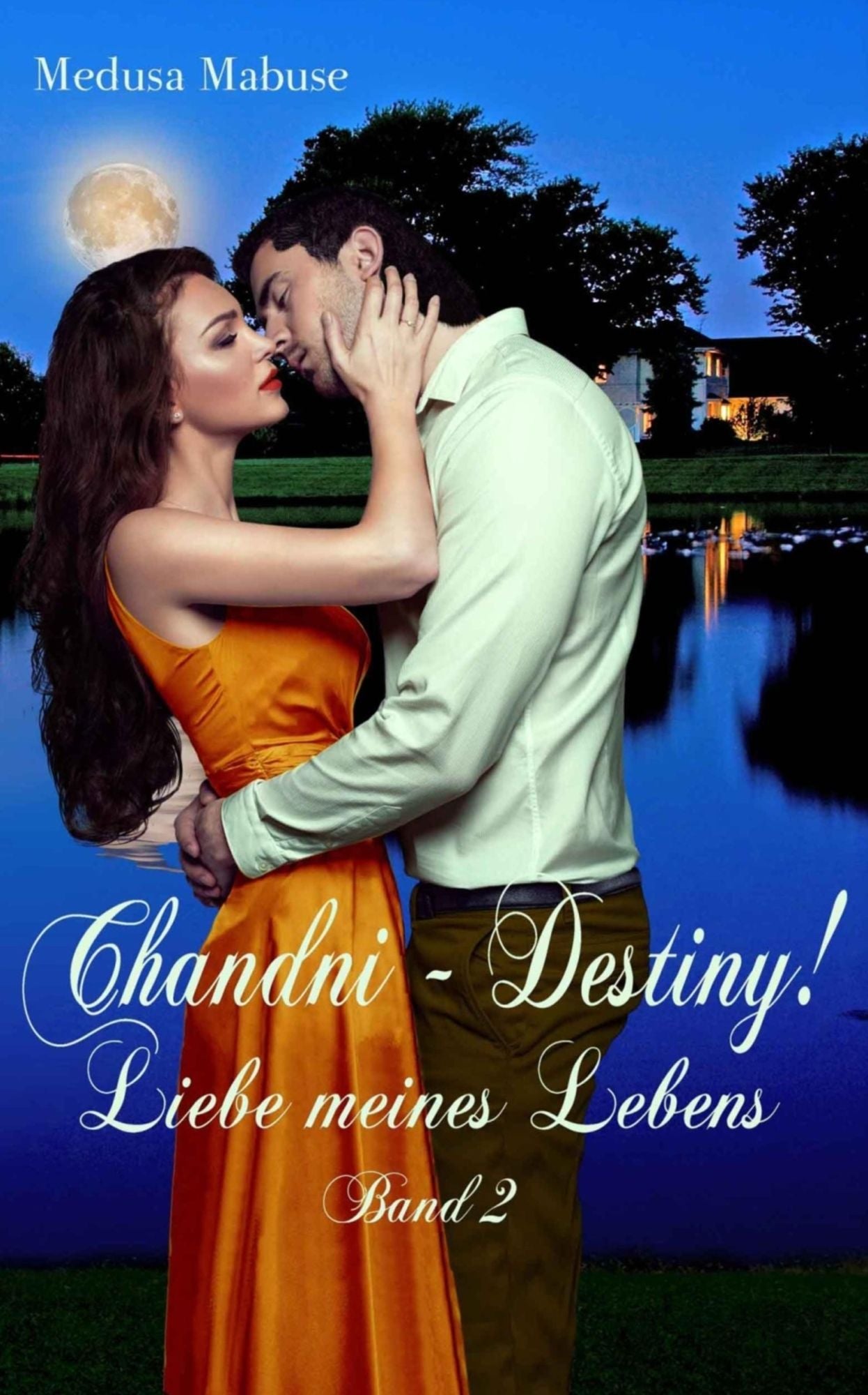 Chandni - Destiny! Liebe meines Lebens