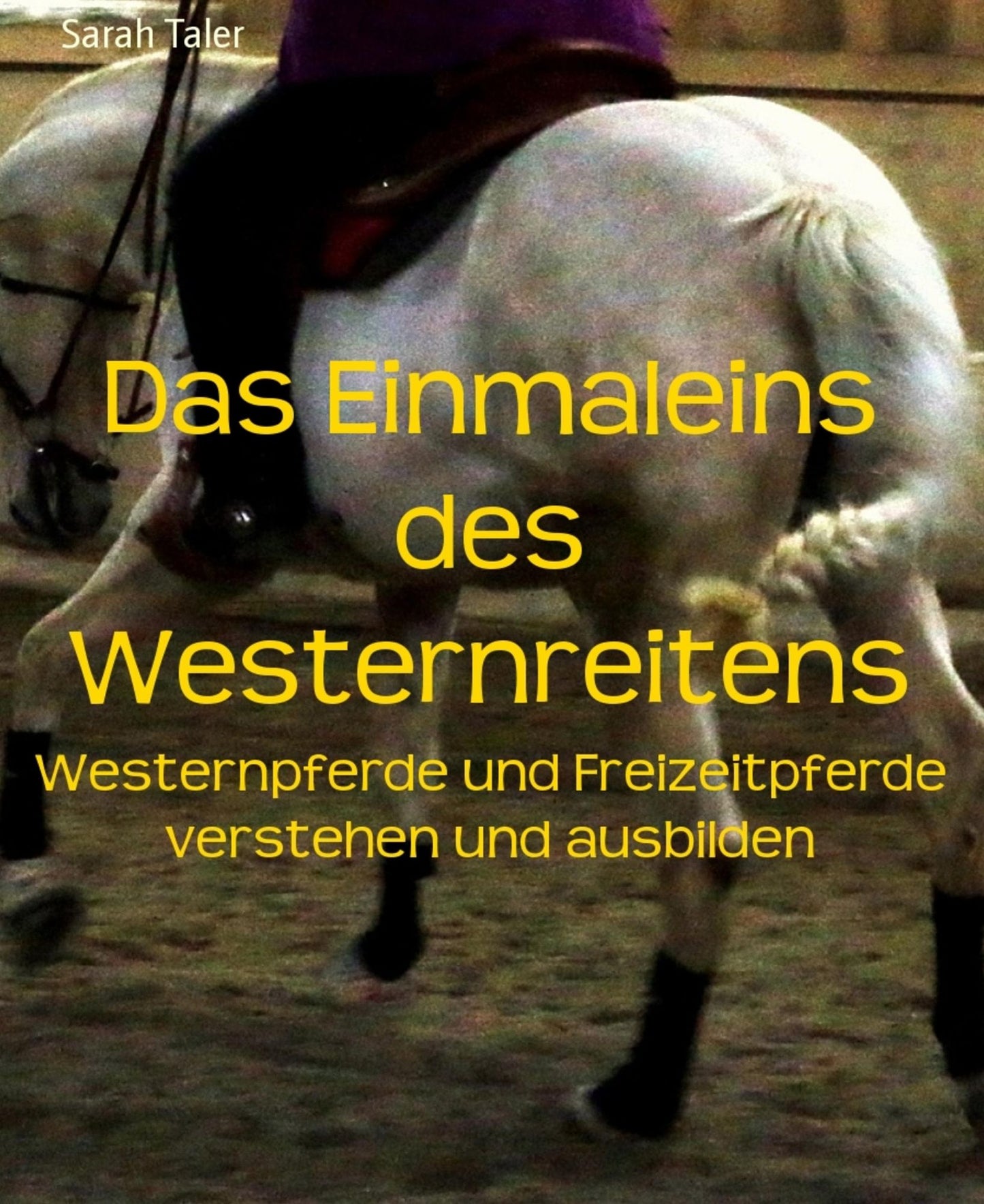 Das Einmaleins des Westernreitens: Westernpferde und Freizeitpferde verstehen und ausbilden