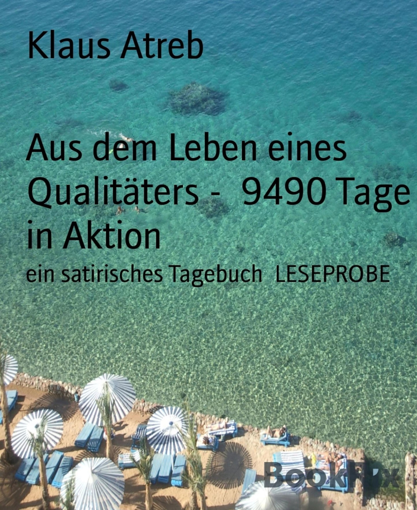 Aus dem Leben eines Qualitäters - 9490 Tage in Aktion: ein satirisches Tagebuch LESEPROBE