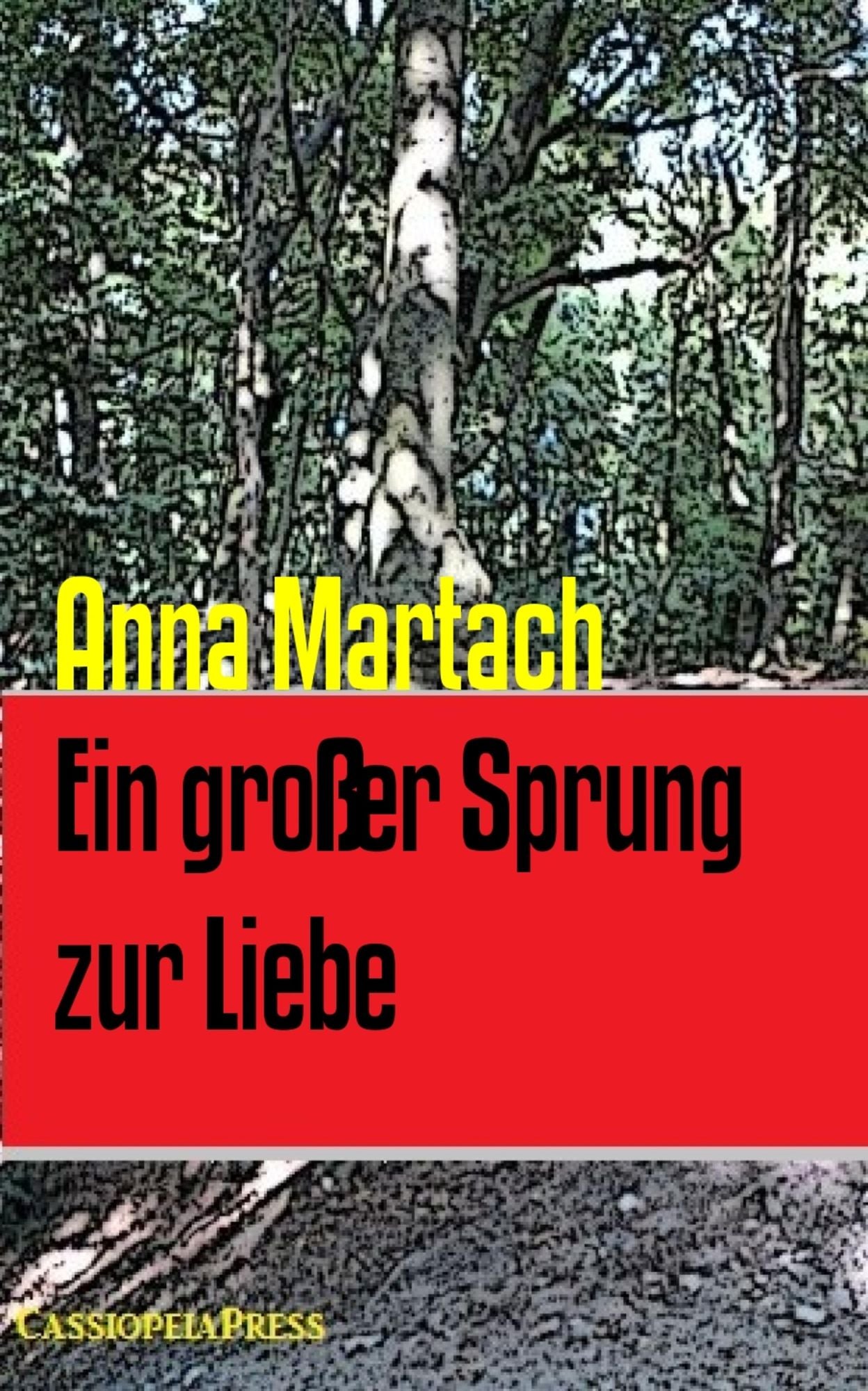 Ein großer Sprung zur Liebe: Cassiopeiapress Bergroman