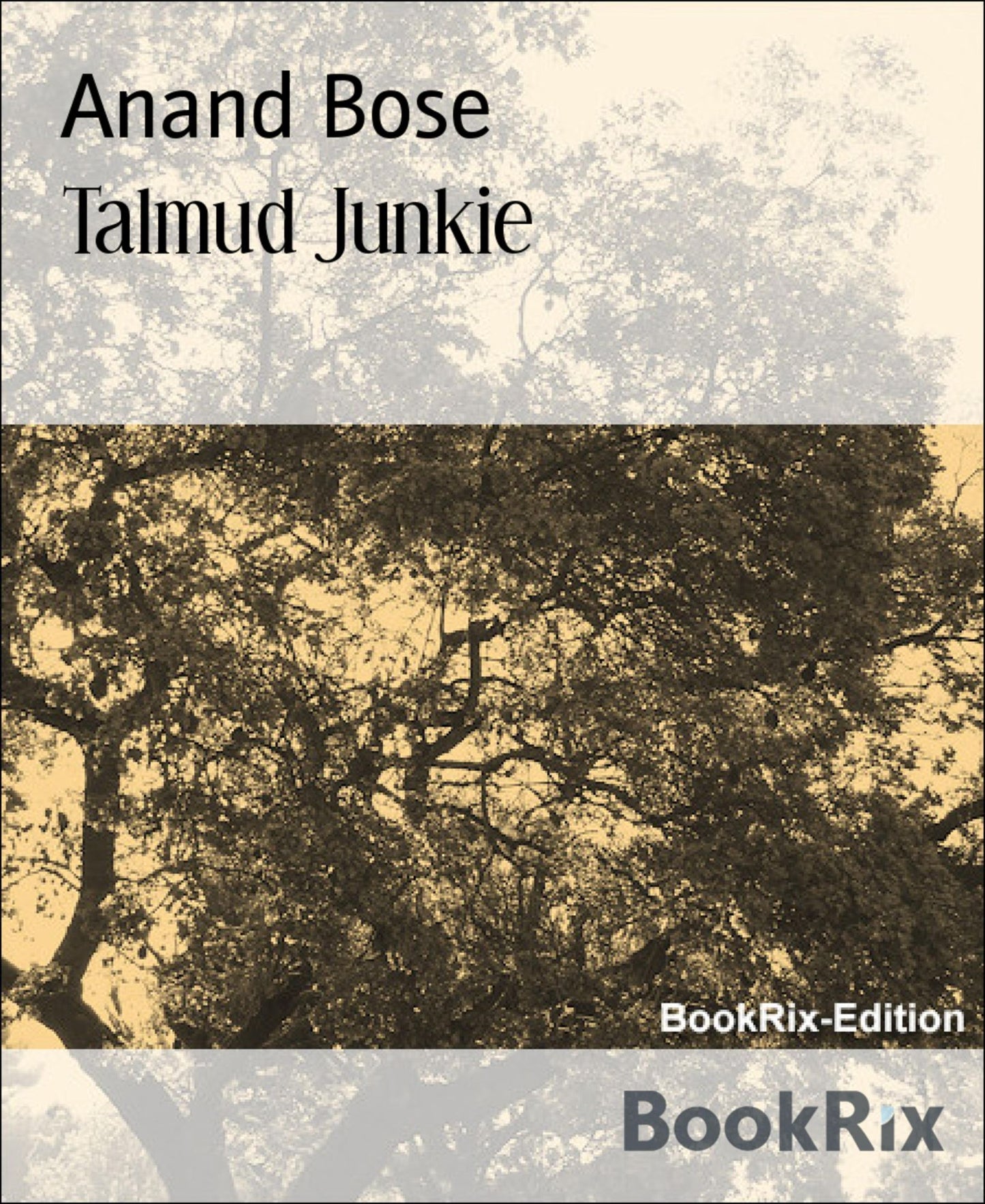 Talmud Junkie
