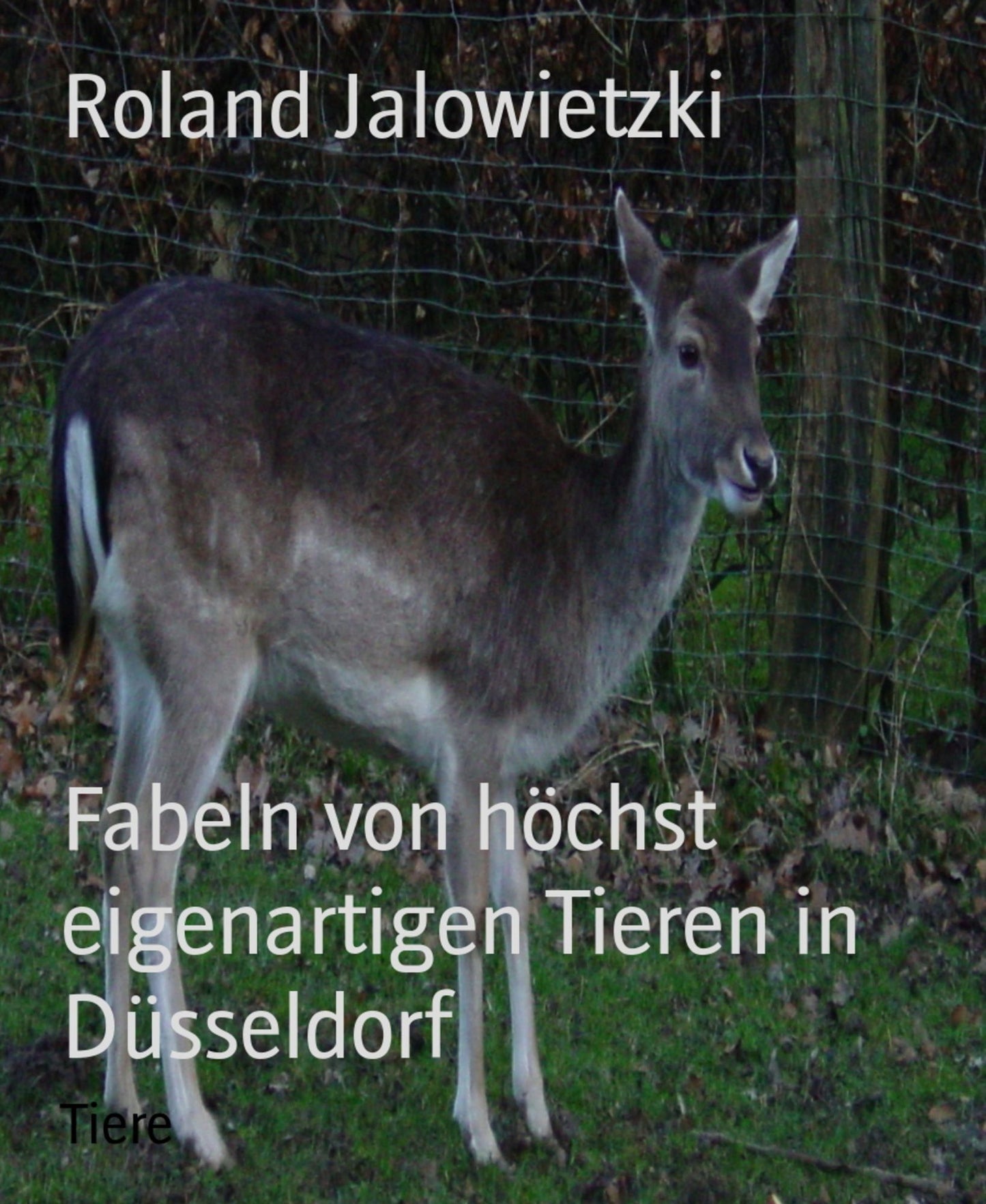 Fabeln von weißen Tigern und Drachen in Düsseldorf