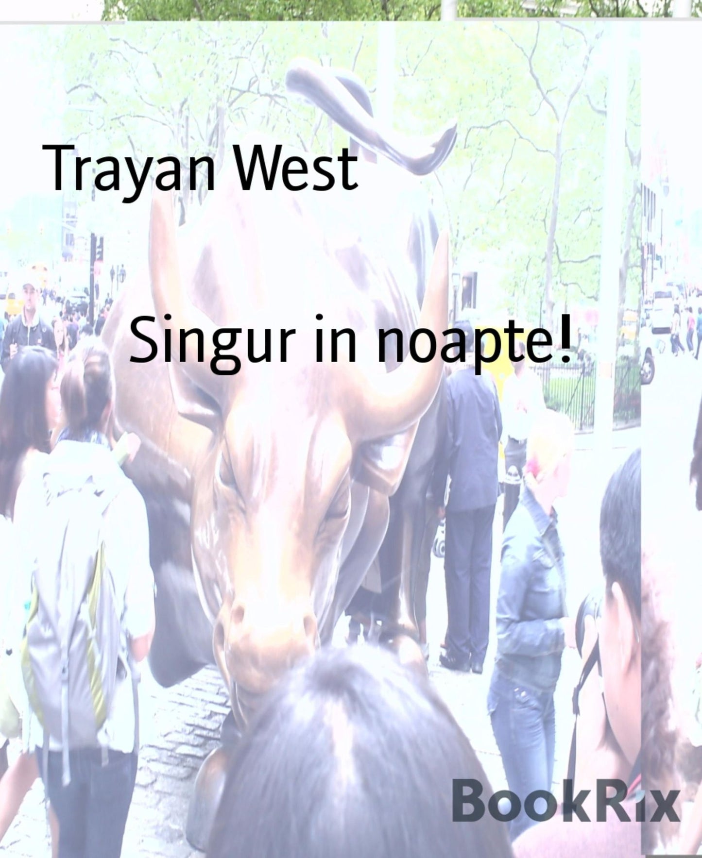 Singur in noapte!: Povestea mea.