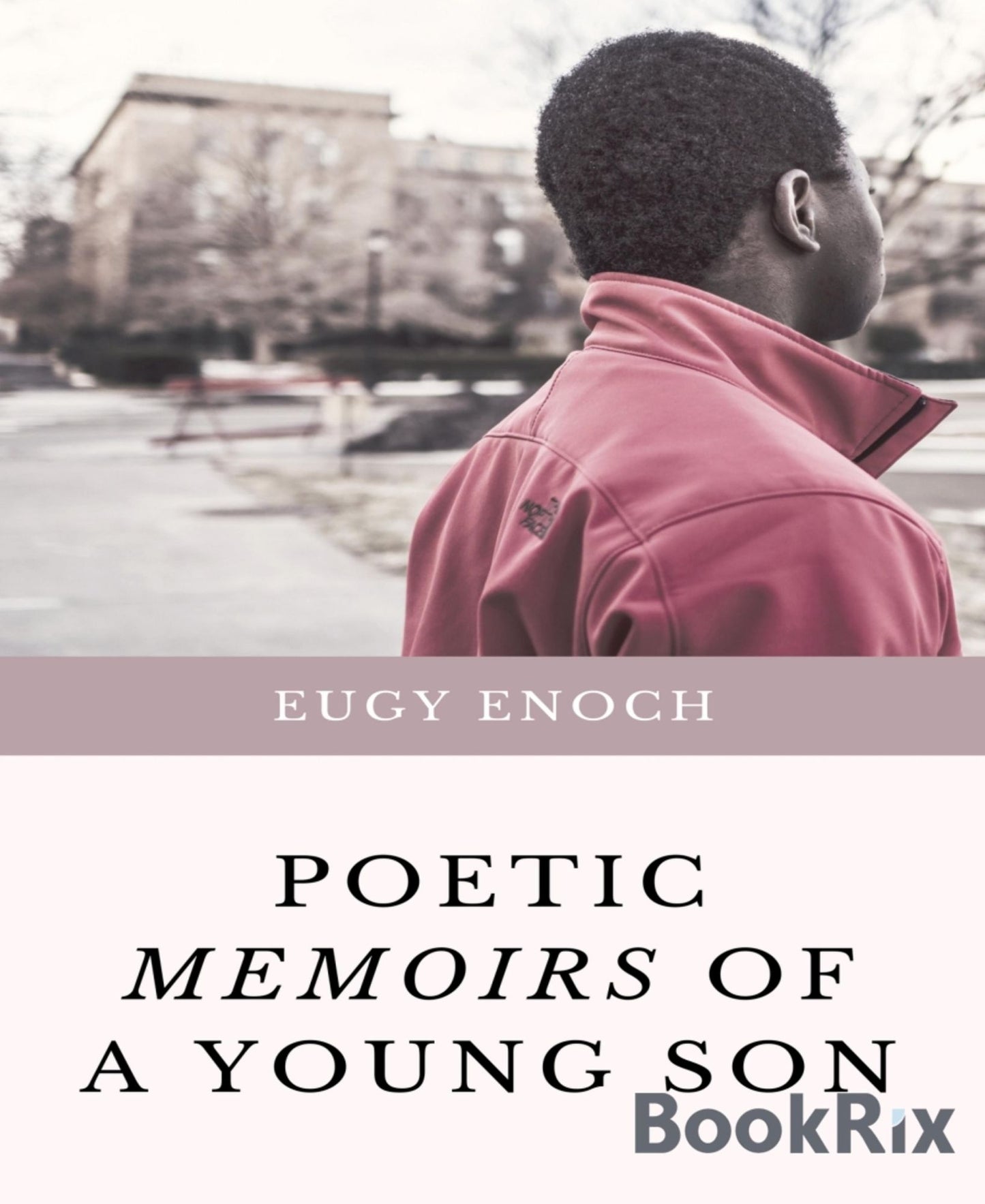 Poetic Memoirs of a Young Son: True Life Experiences and Lessons