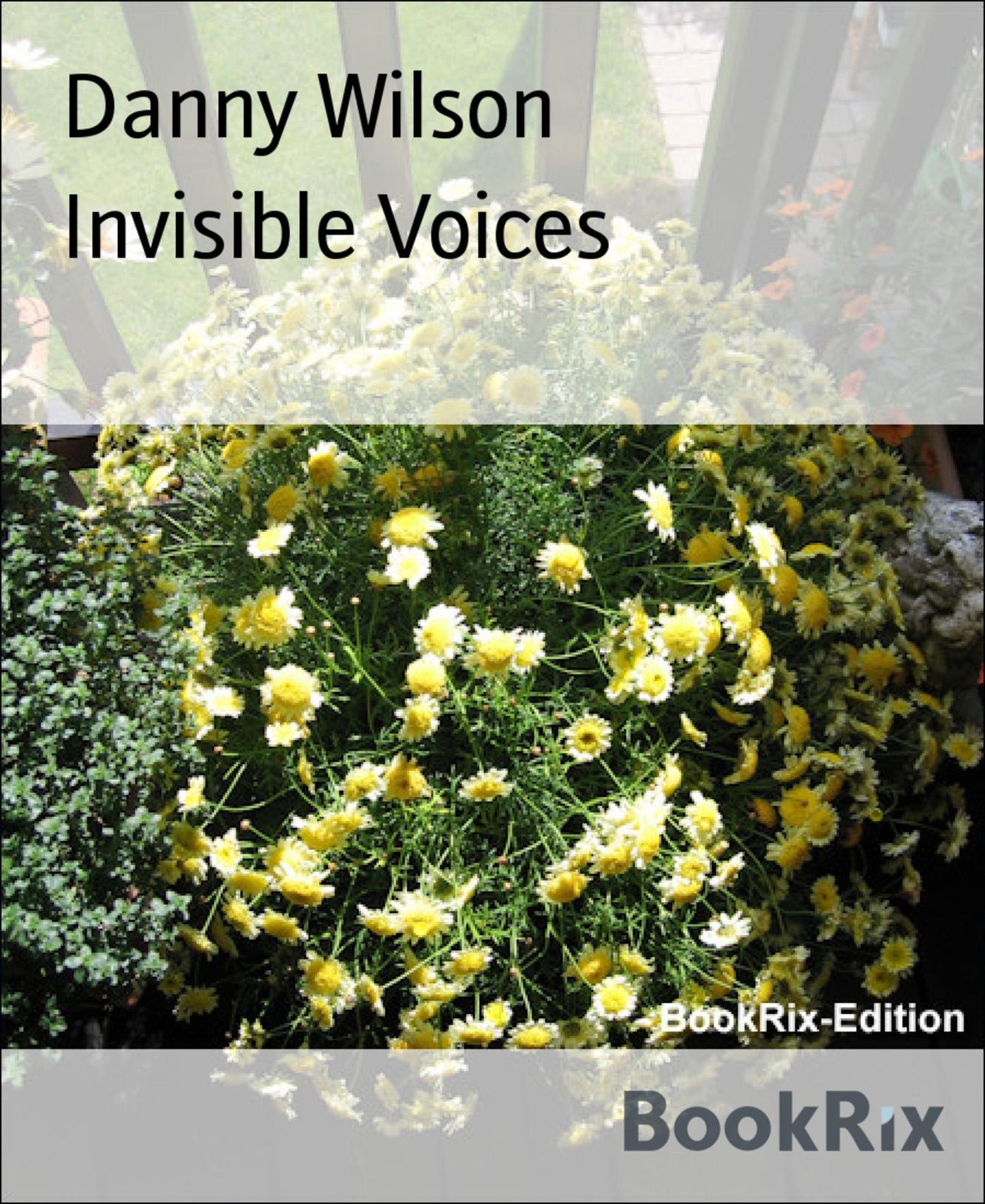 Invisible Voices
