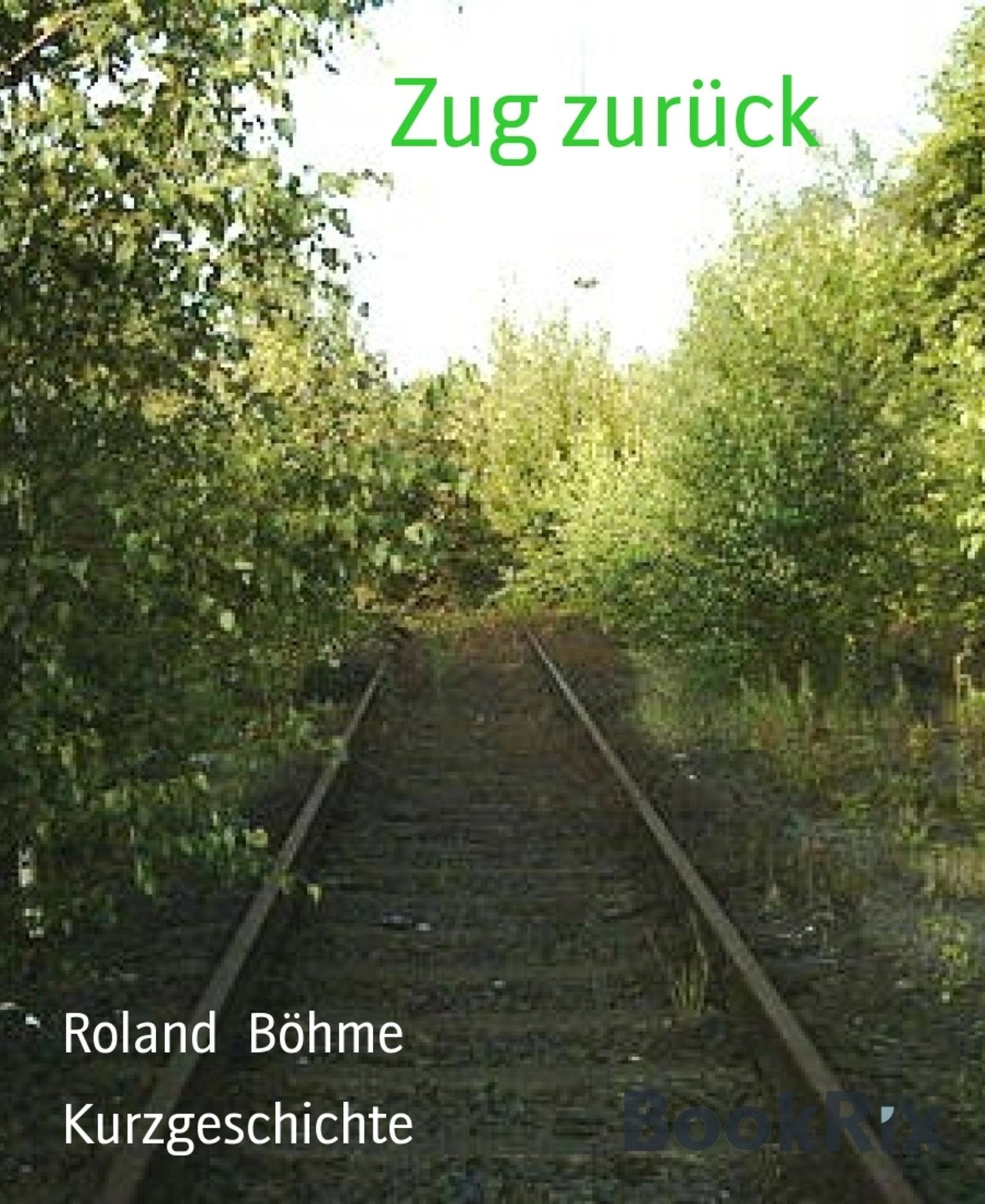 Zug zurück