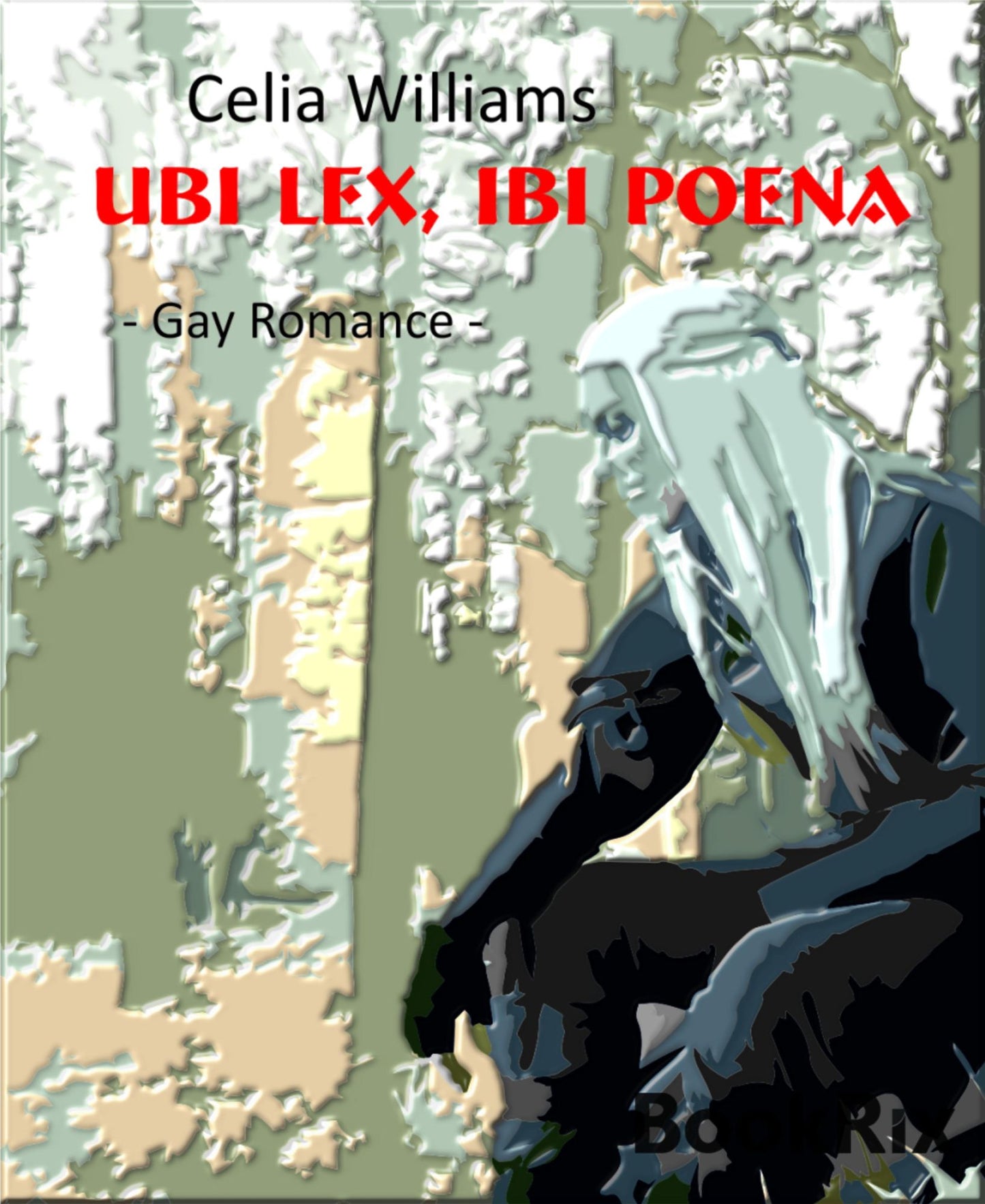 Ubi lex, ibi poena: Gay Fantasy Romance