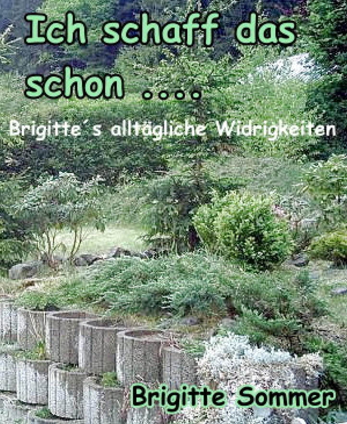 Ich schaff das schon....: Brigitte's alltägliche Widrigkeiten