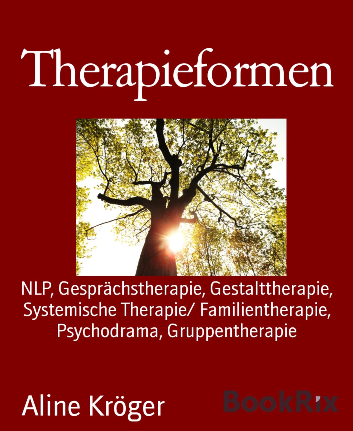 Therapieformen: NLP, Gesprächstherapie, Gestalttherapie, Systemische Therapie/ Familientherapie, Psychodrama, Gruppentherapie