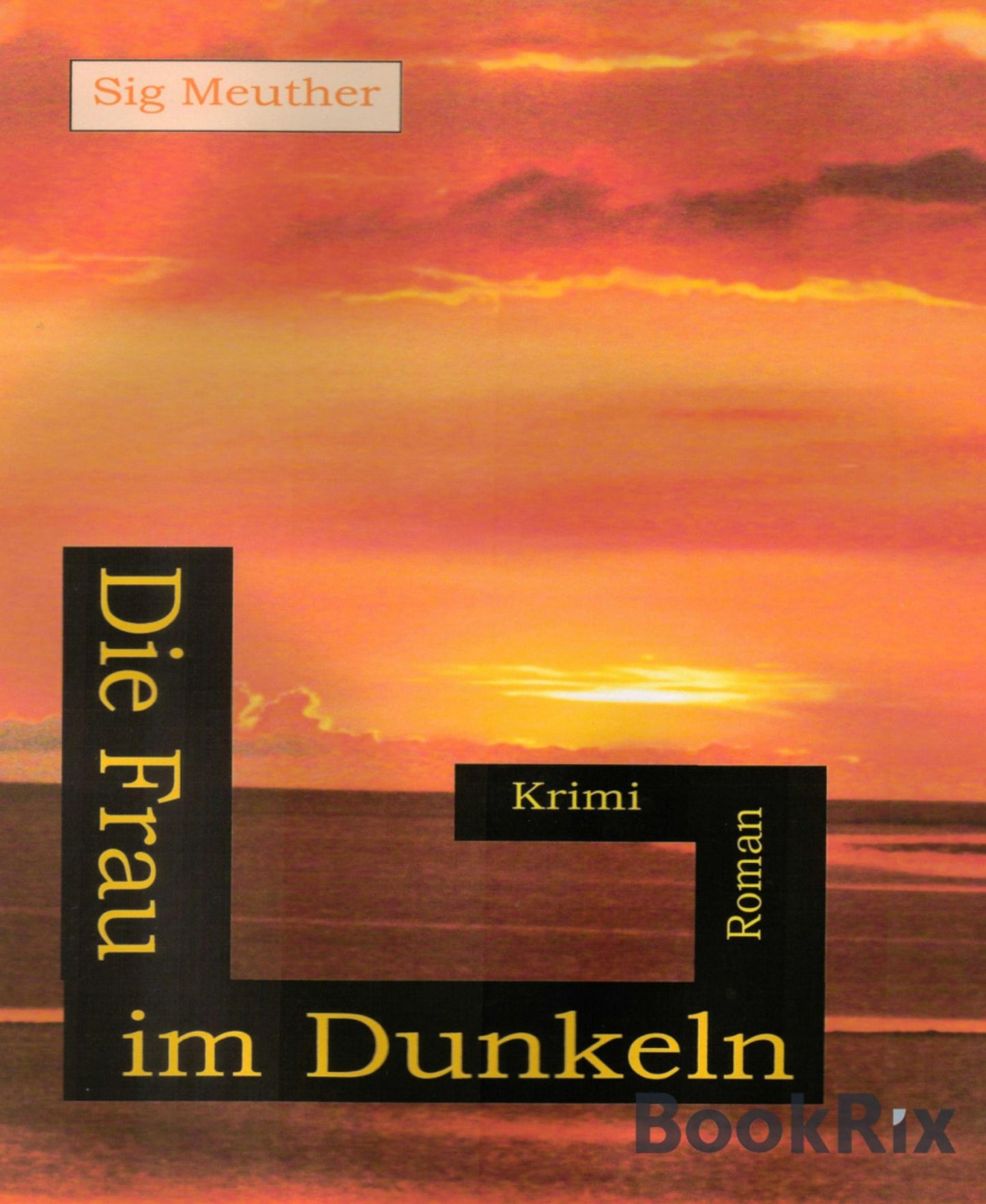Die Frau im Dunkeln