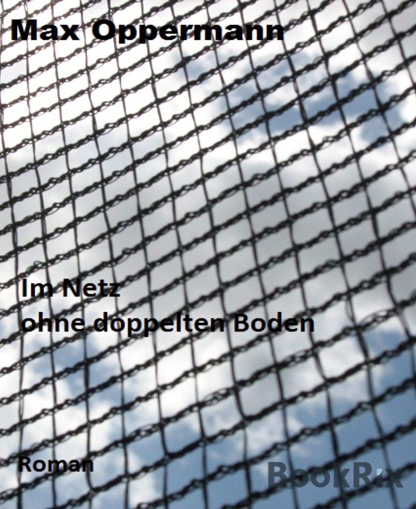 Im Netz ohne doppelten Boden: Roman aus dem beschädigten Leben