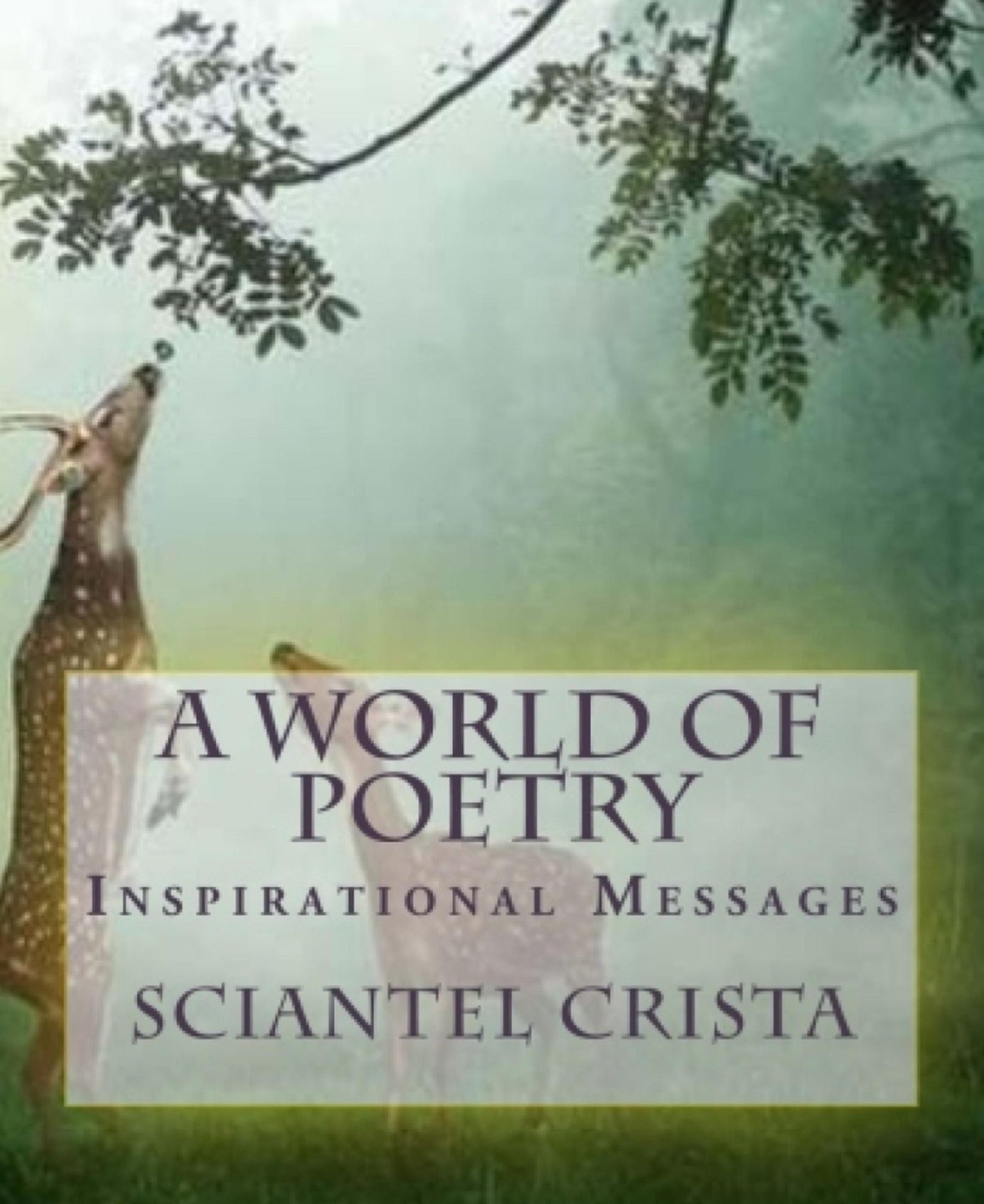 A World Of Poetry: Inspirational Messages Volume One