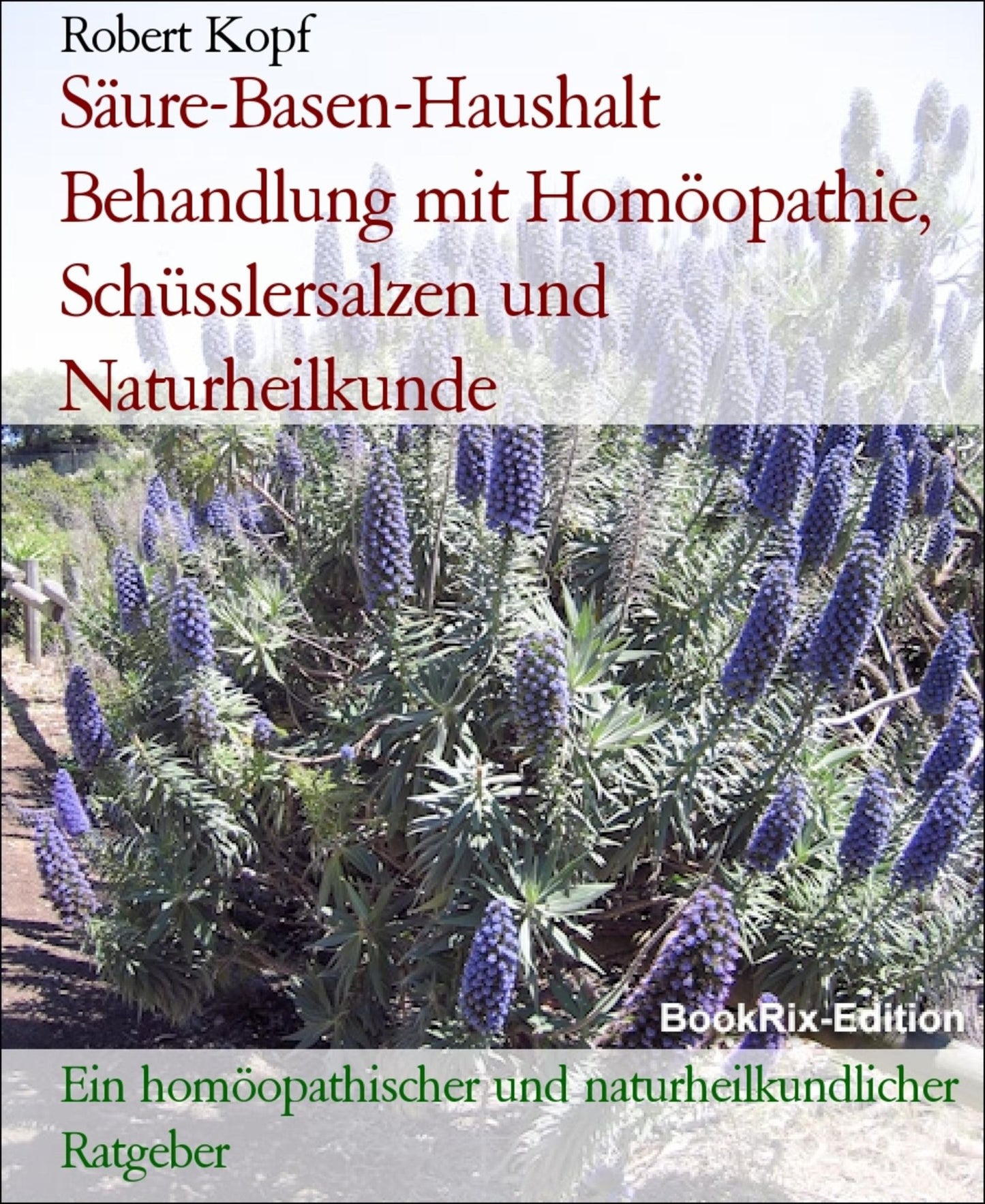 Säure-Basen-Haushalt, die Grundlage unserer Gesundheit Behandlung mit Homöopathie, Schüsslersalzen und Naturheilkunde: Ein homöopathischer, biochemischer und naturheilkundlicher Ratgeber