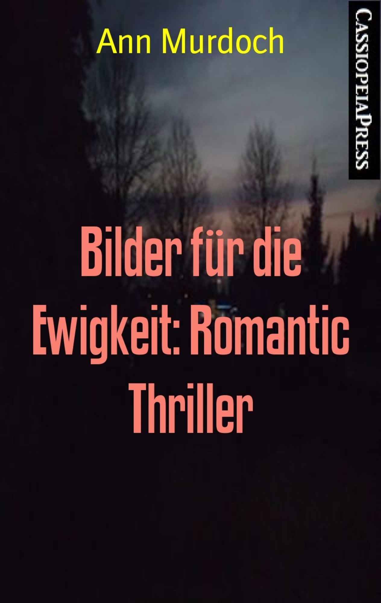 Bilder für die Ewigkeit: Romantic Thriller: Cassiopeiapress Spannung