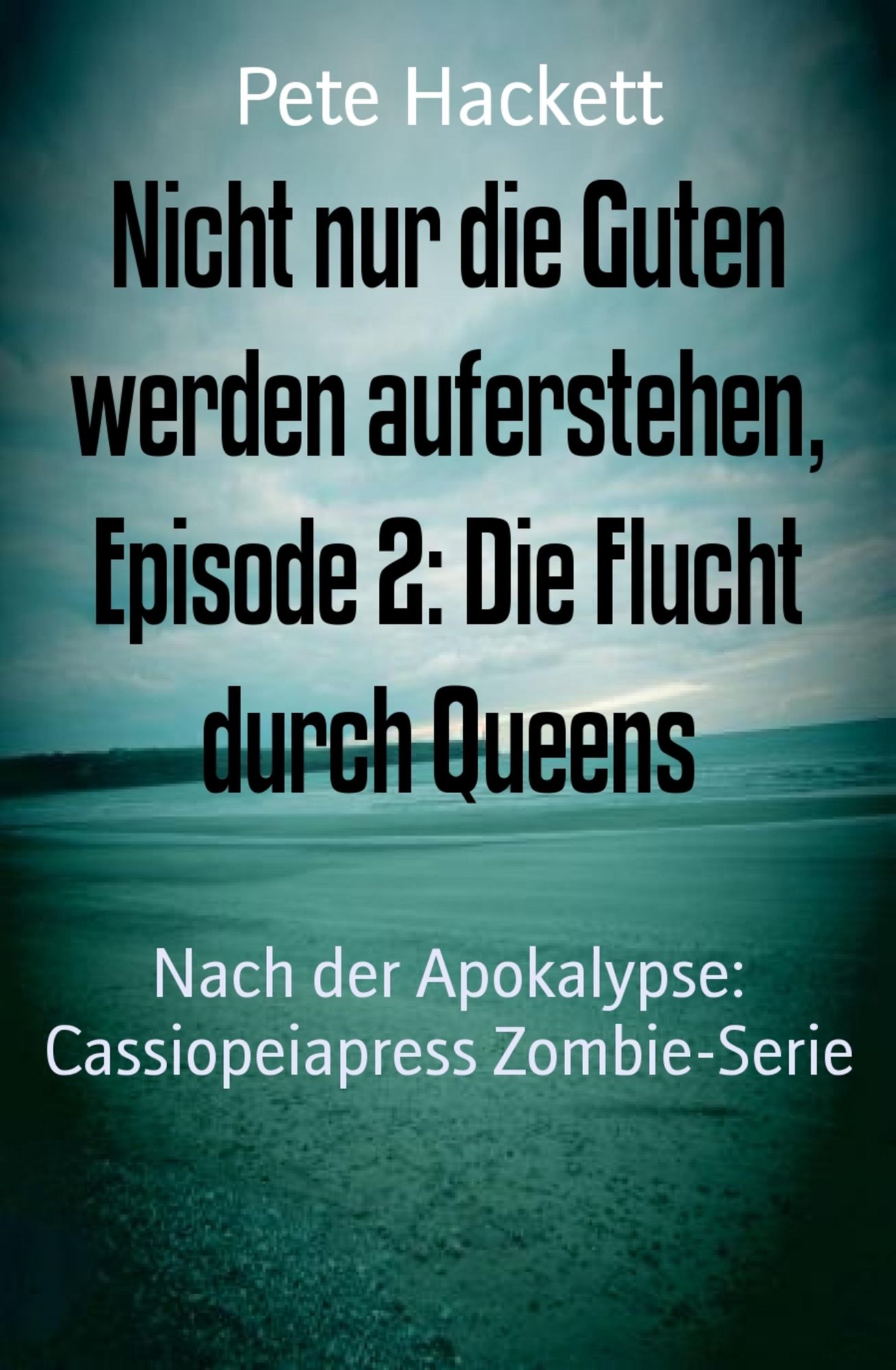 Nicht nur die Guten werden auferstehen, Episode 2: Die Flucht durch Queens: Nach der Apokalypse: Cassiopeiapress Zombie-Serie