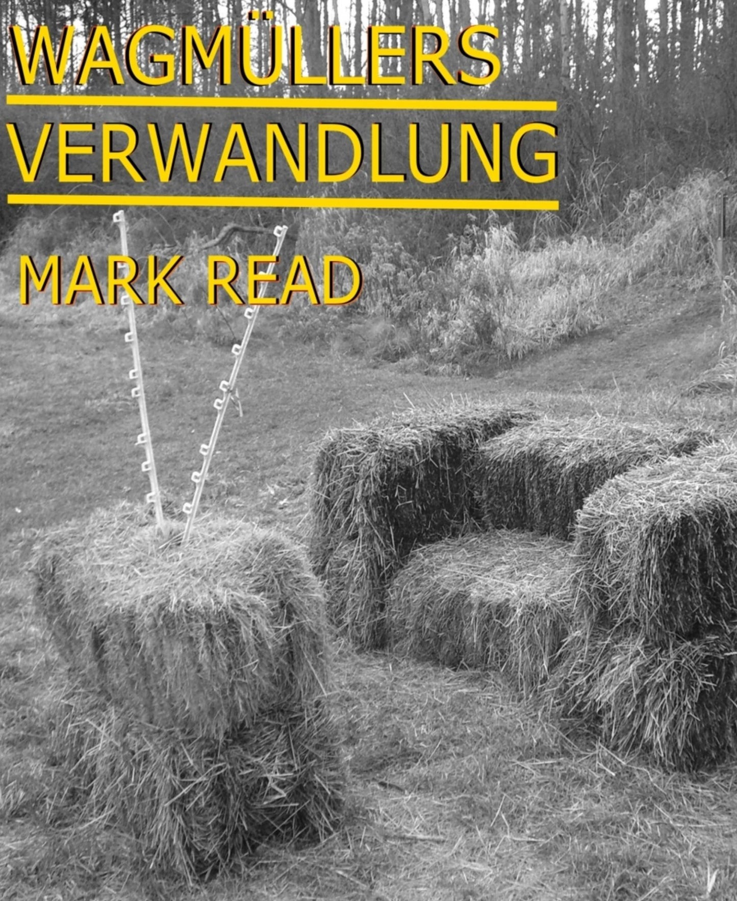 Wagmüllers Verwandlung